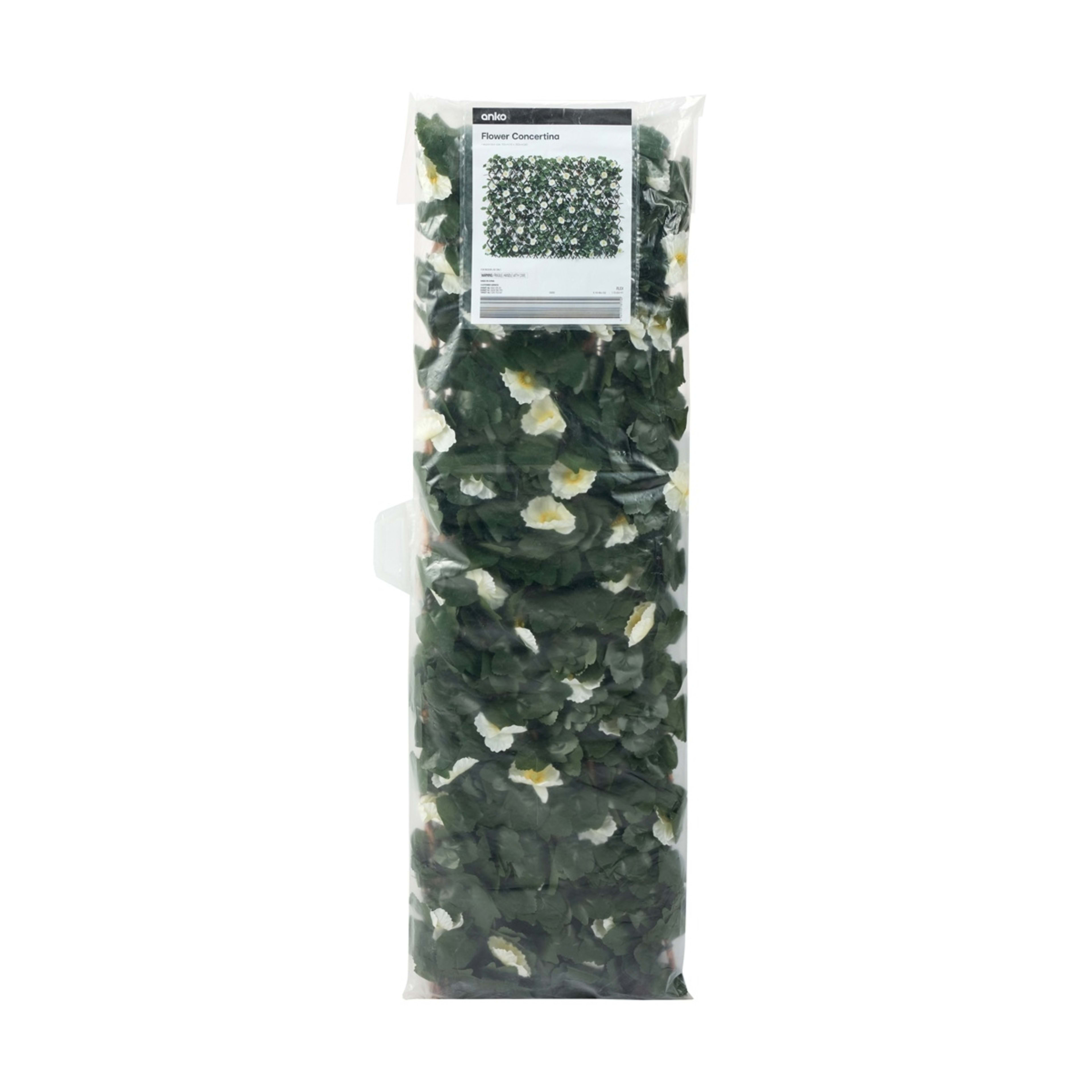 6 Flower Concertina, 6 of 6