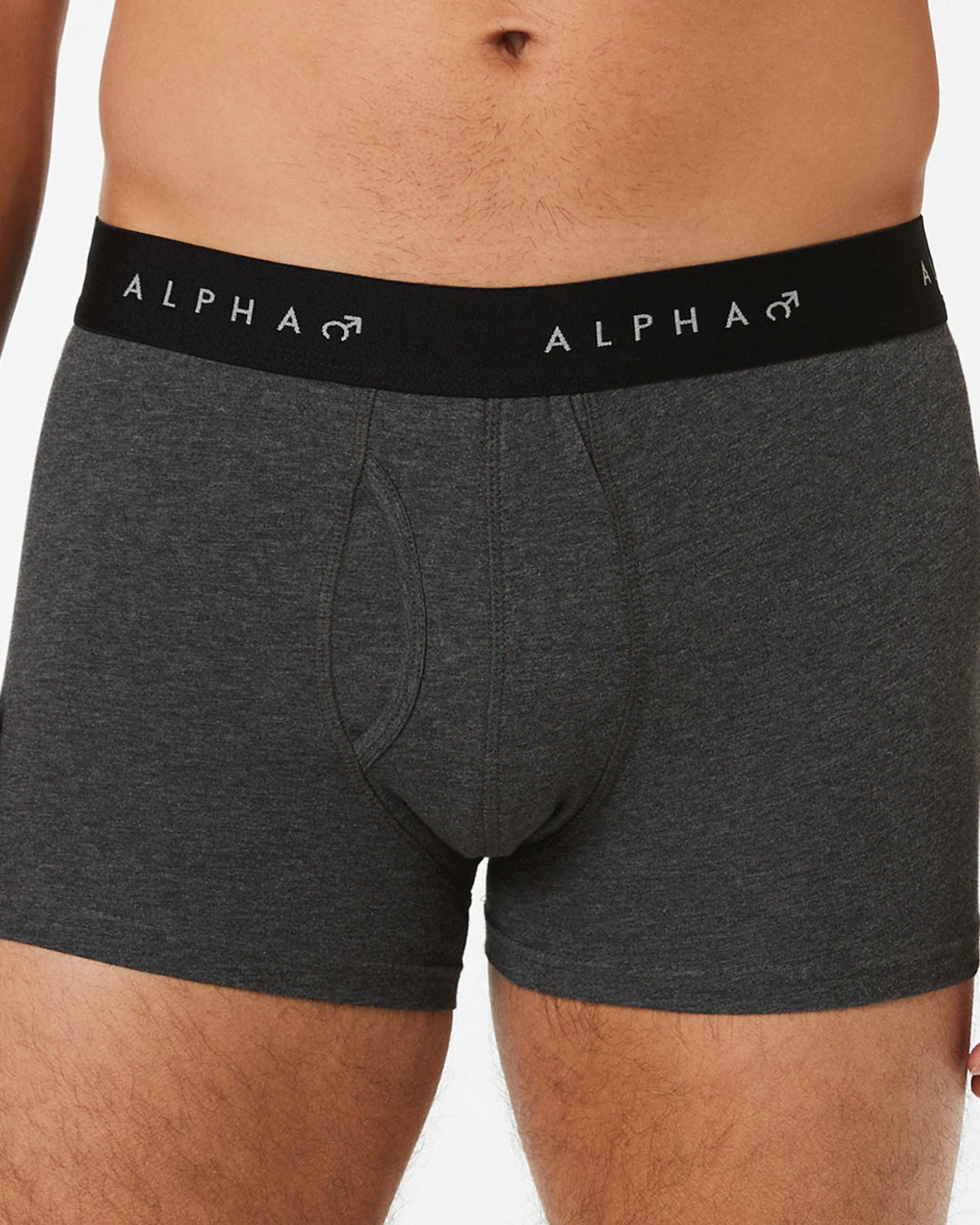 2 3 Pack Fly Front Plain Trunks GREY MARLE, 2 of 8