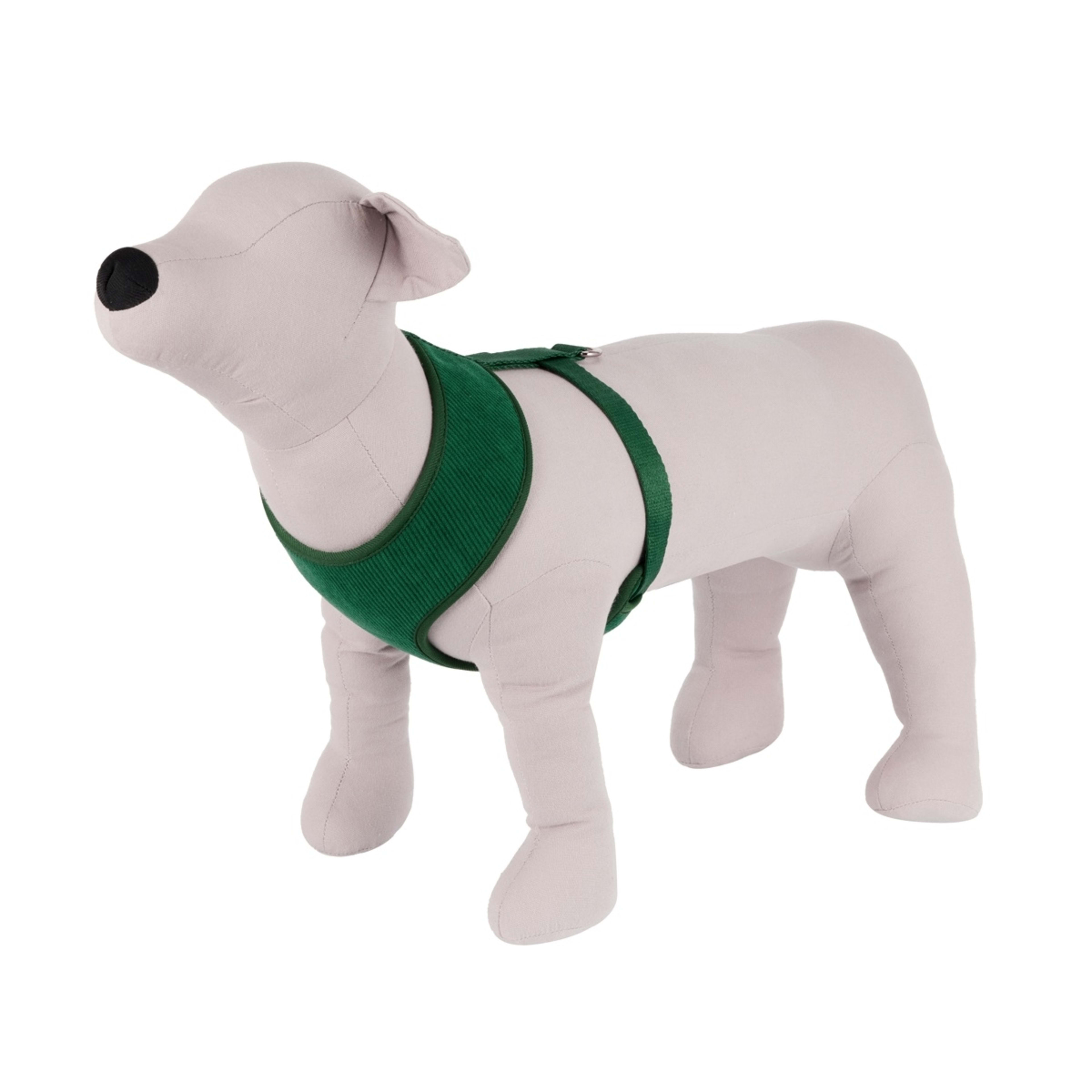 2 Pet Corduroy Harness - Medium, Deep Green, 2 of 9