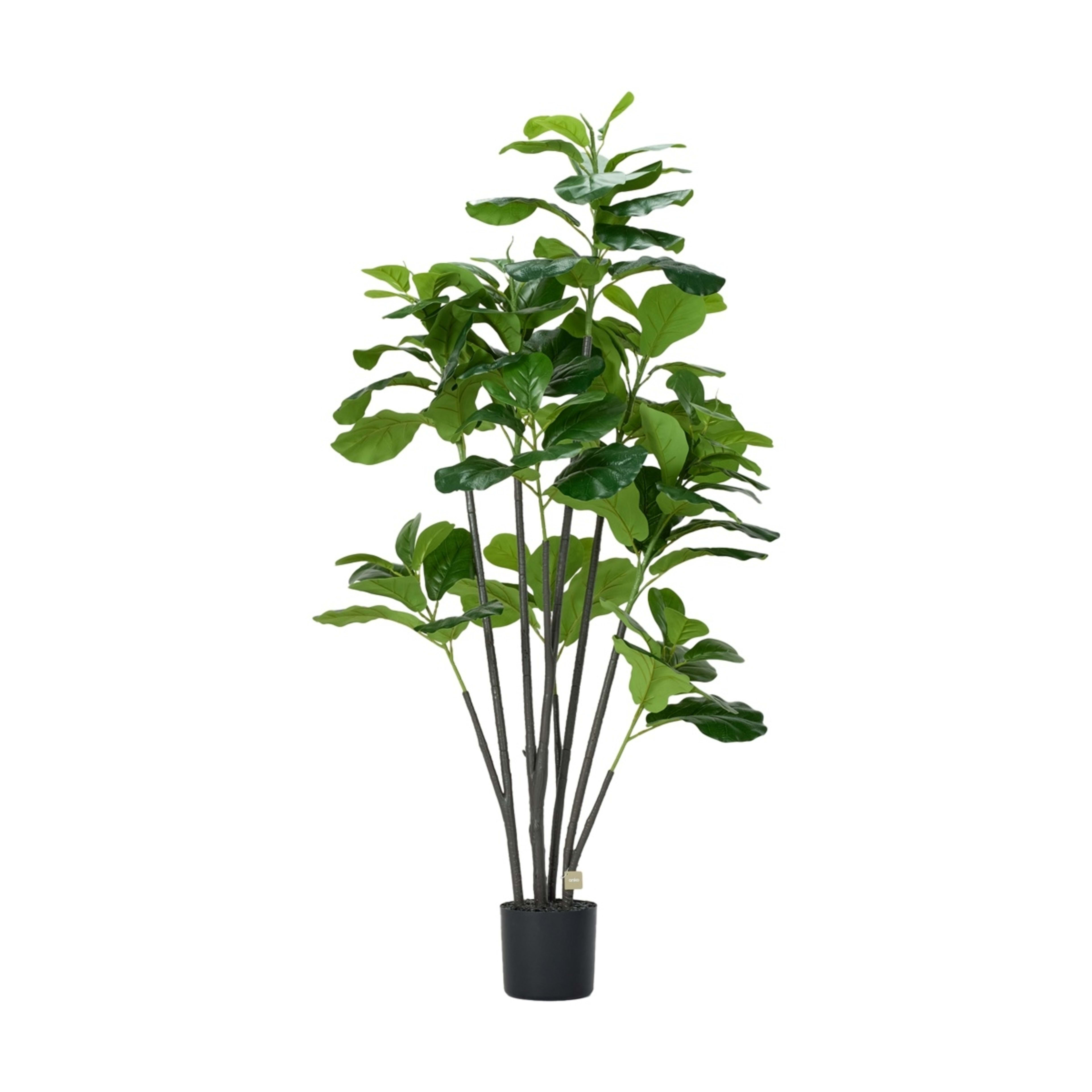 5 Tall Artificial Fiddle Fig Leaf, 5 of 5