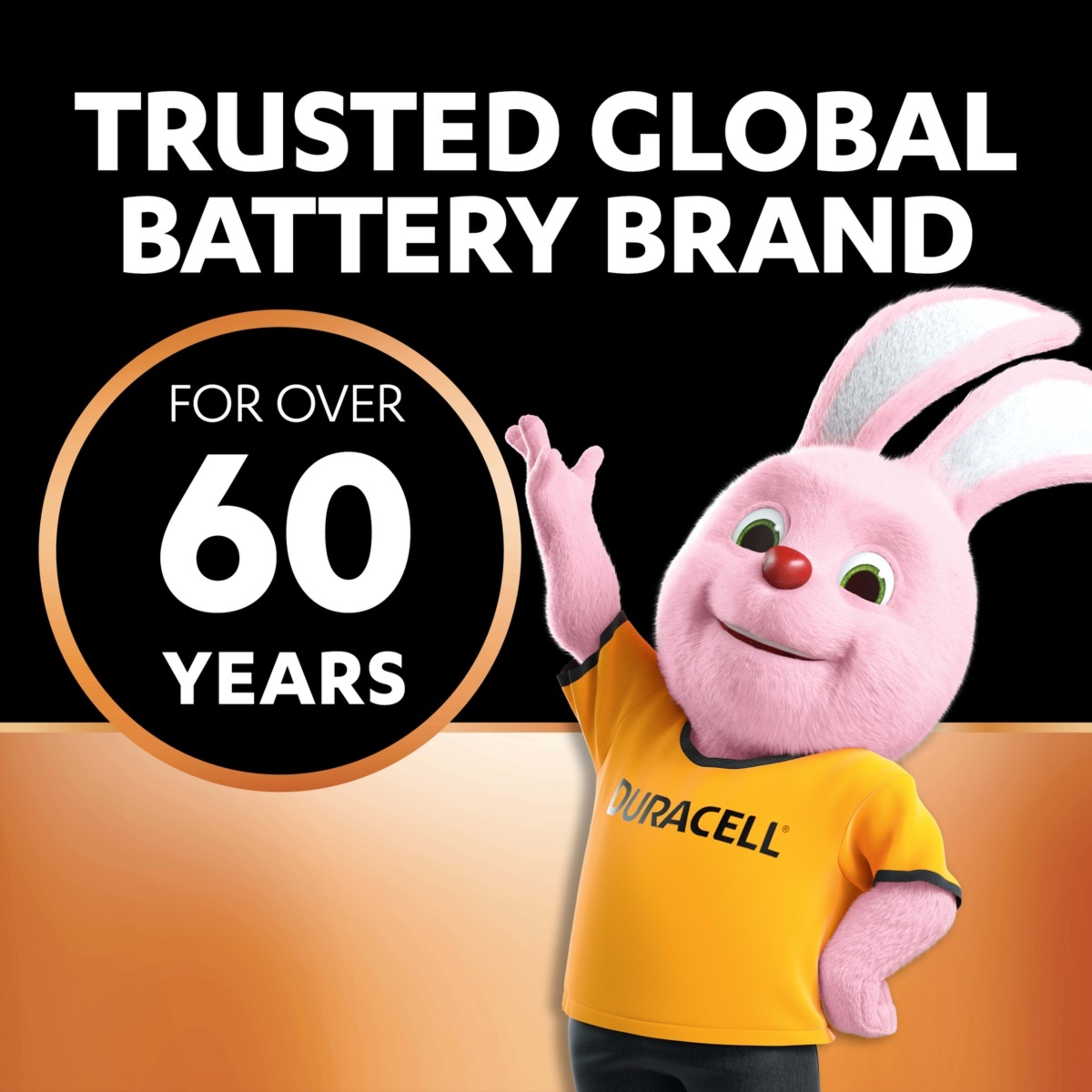 4 4 Pack Duracell Coppertop AA 1.5V Alkaline Batteries, 4 of 10