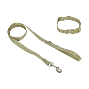Best Dog Ever Collar and Lead Set - Large, Green