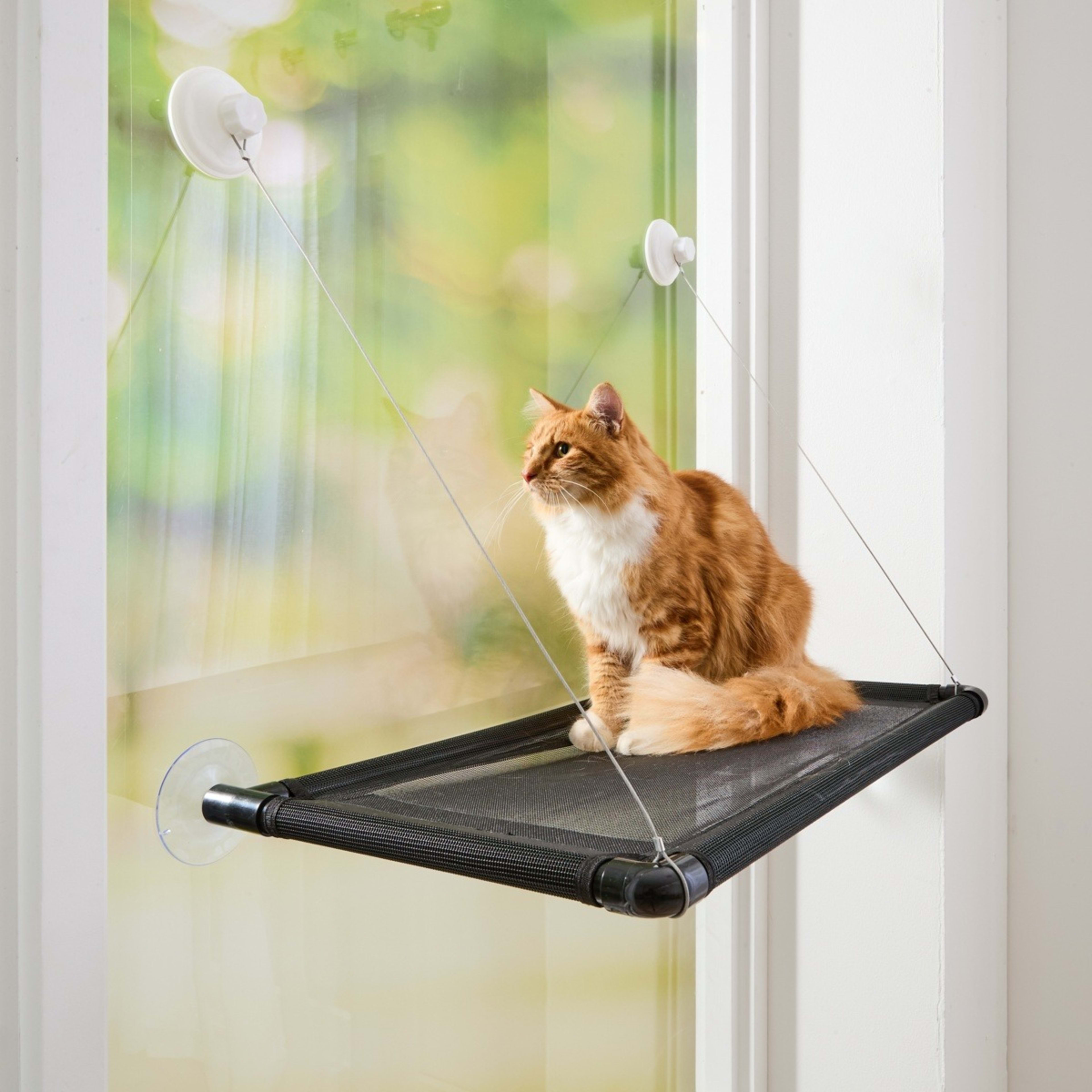 1 Cat Window Hammock