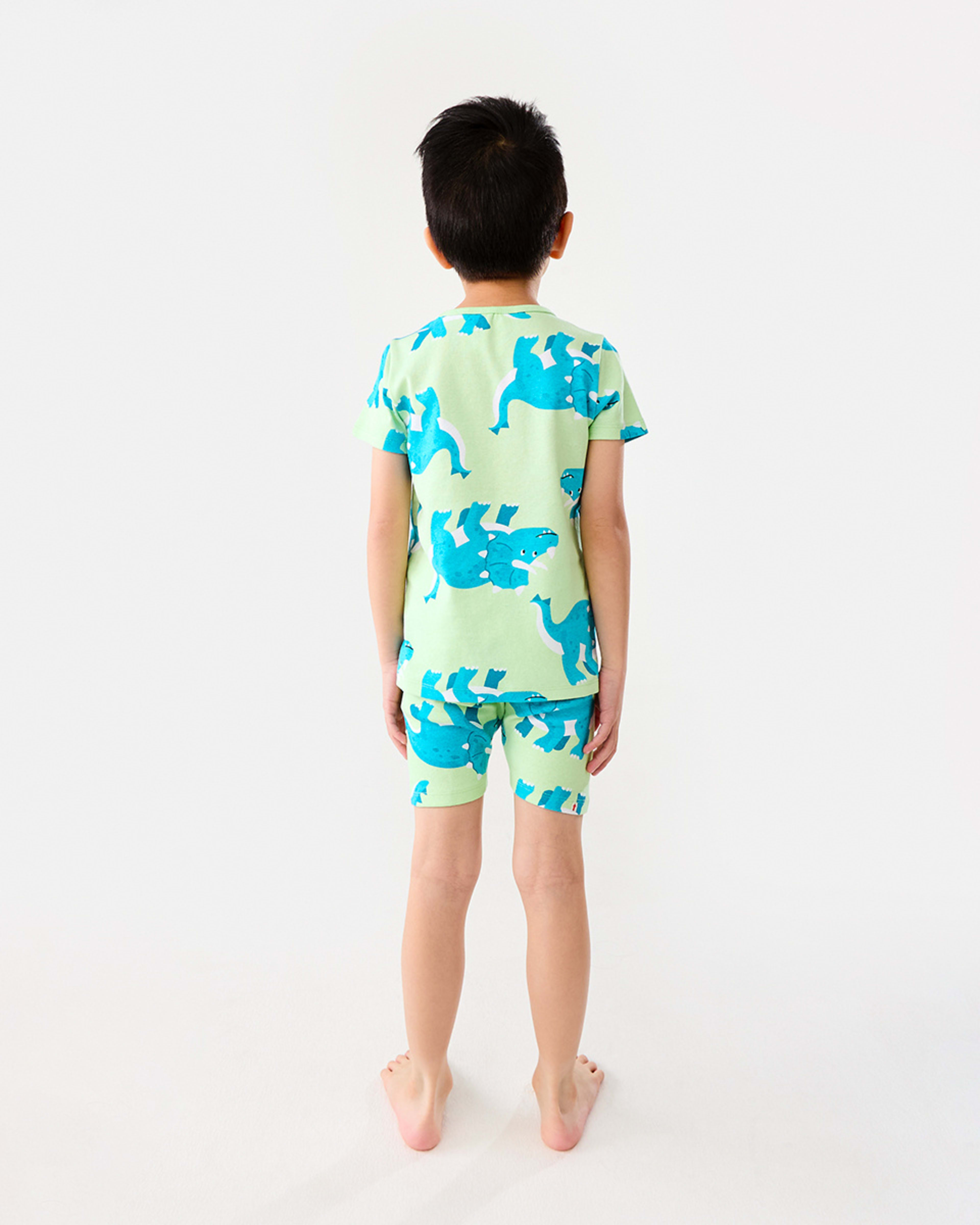 6 Short Sleeve Rib Knit Pyjama Set Dinopatgrn, 6 of 10
