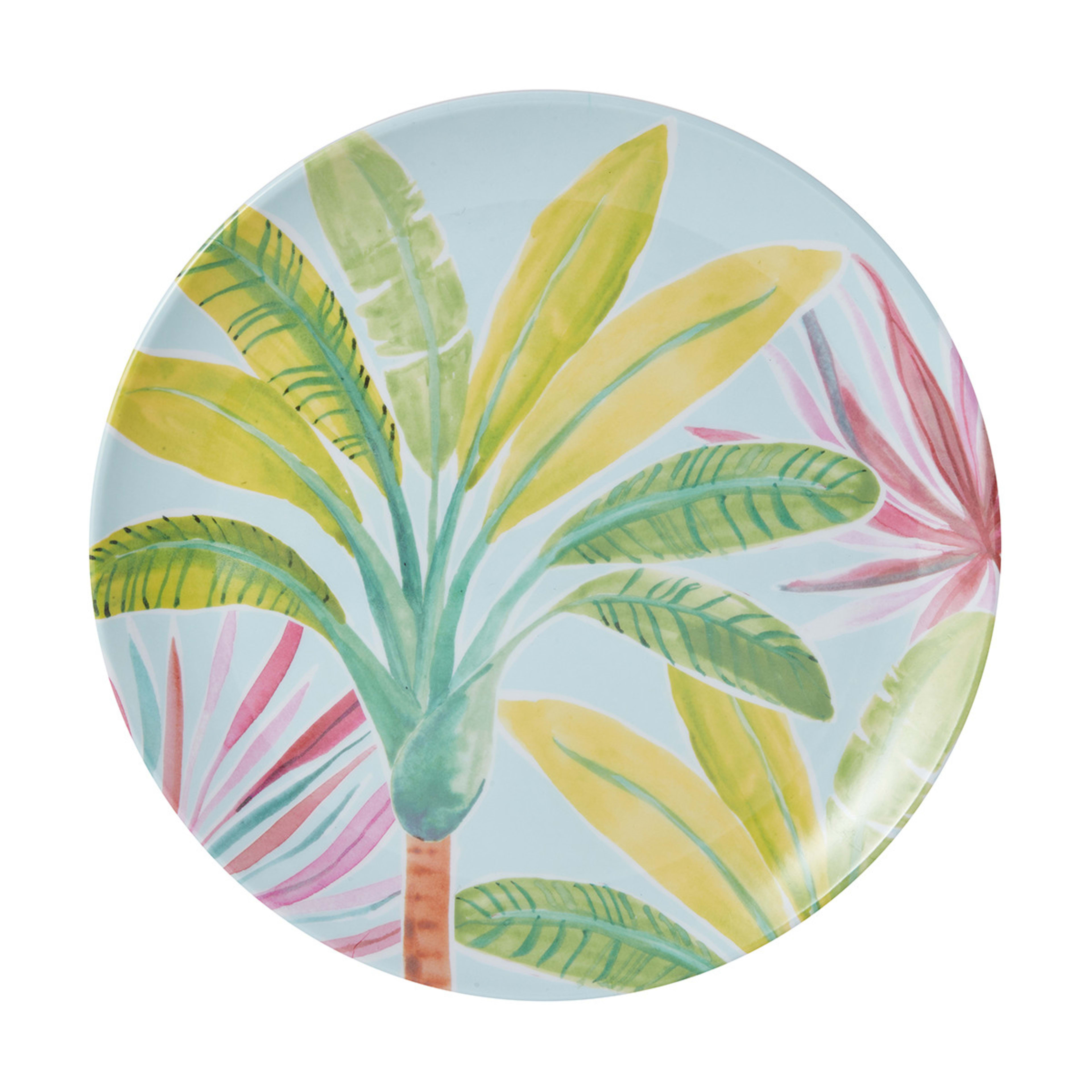 4 Pack Birds Dinner Plates Kmart