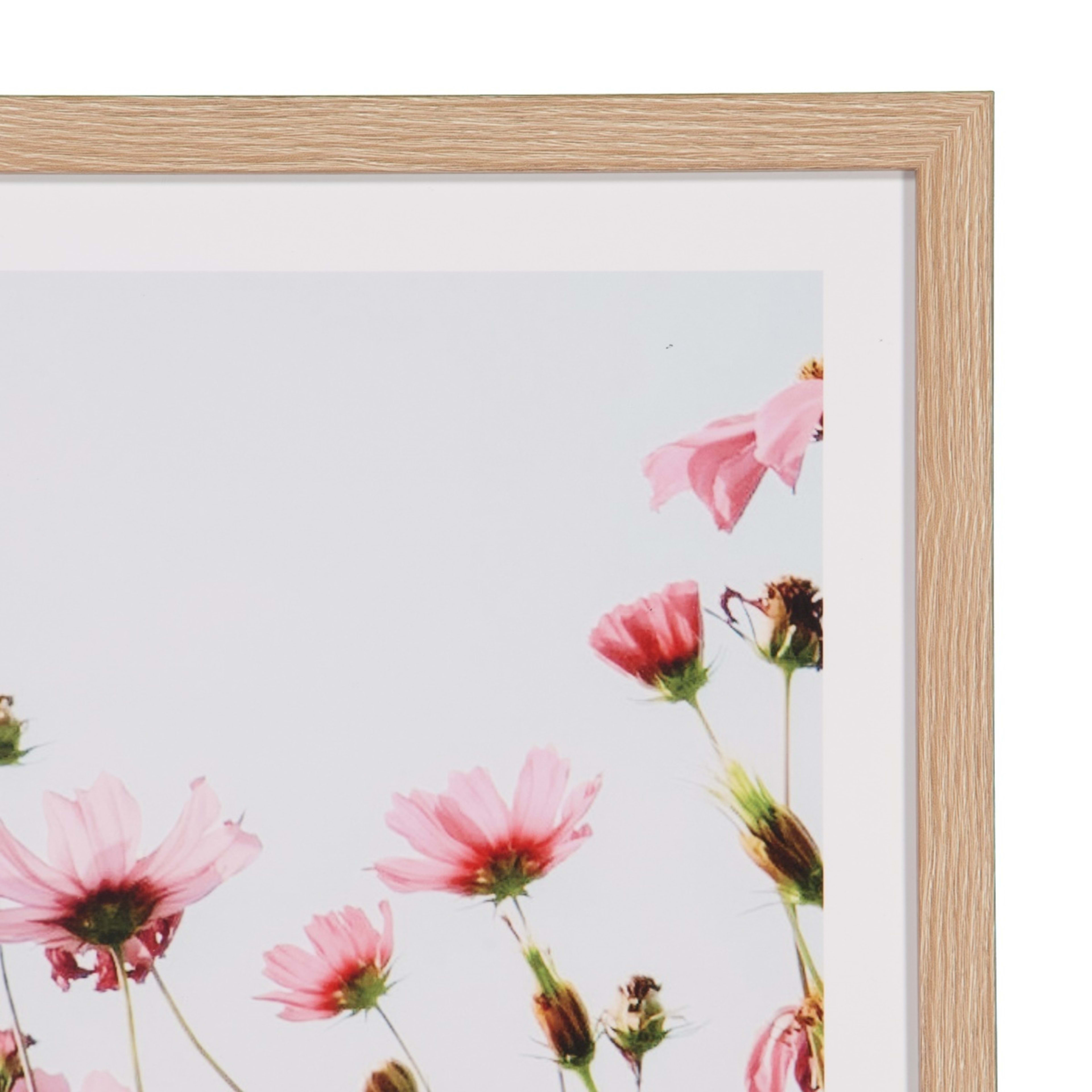 2 Poppies Framed Print, 2 of 5