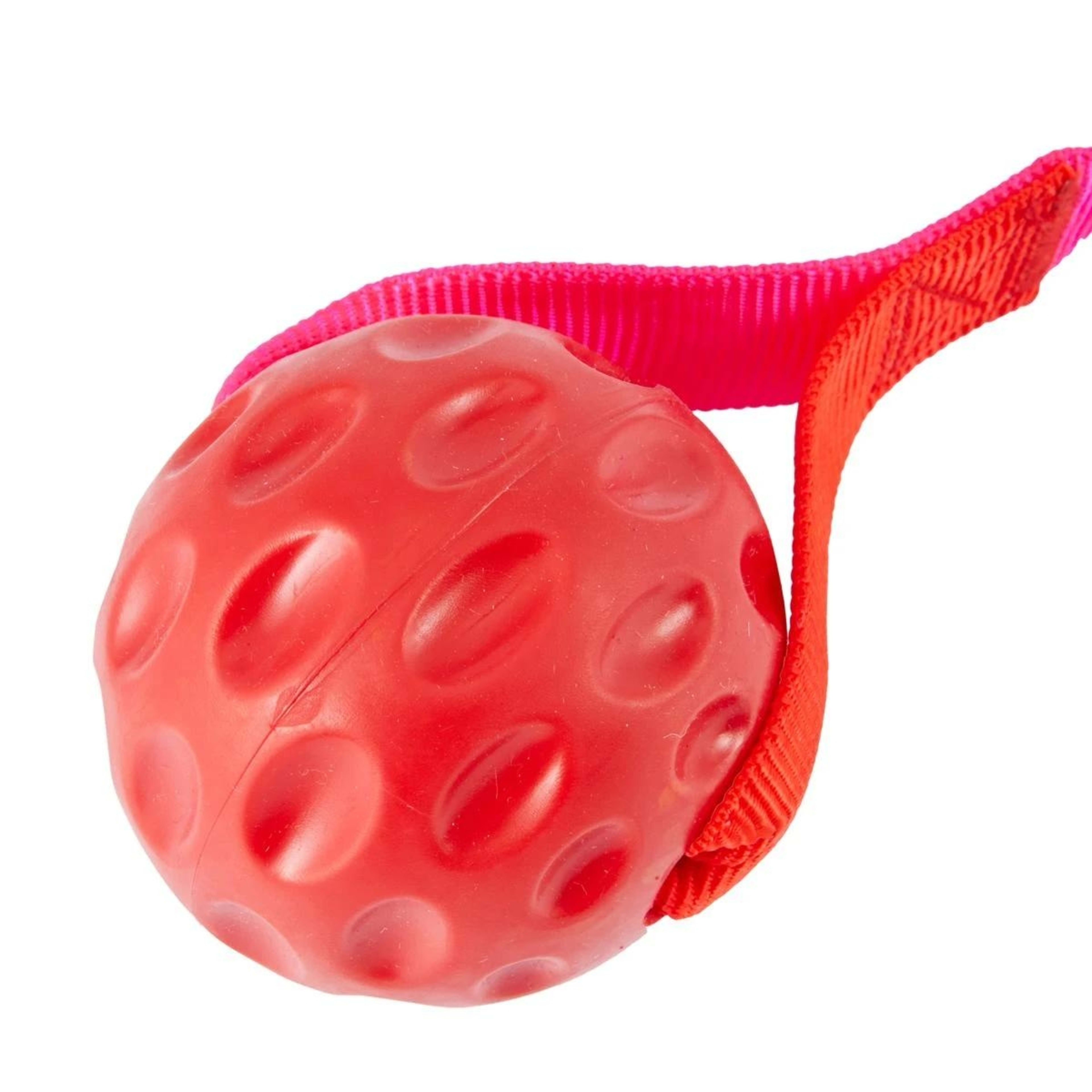 3 Pet Toy Bungee Ball with Handle, 3 of 7