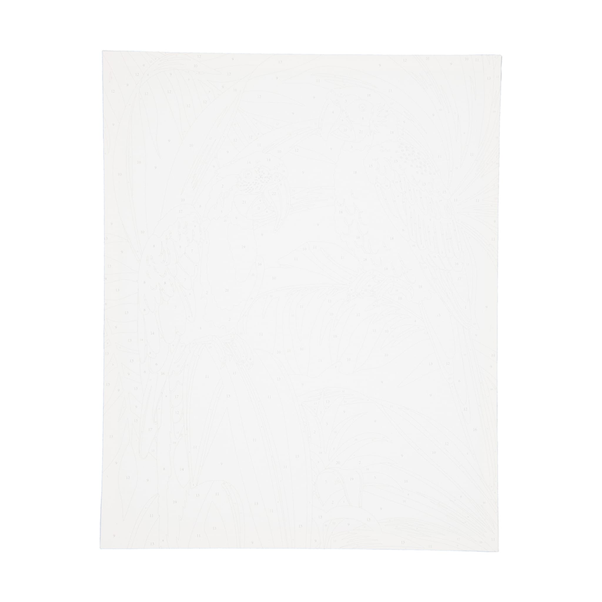 Paint By Numbers Parrots Kmart