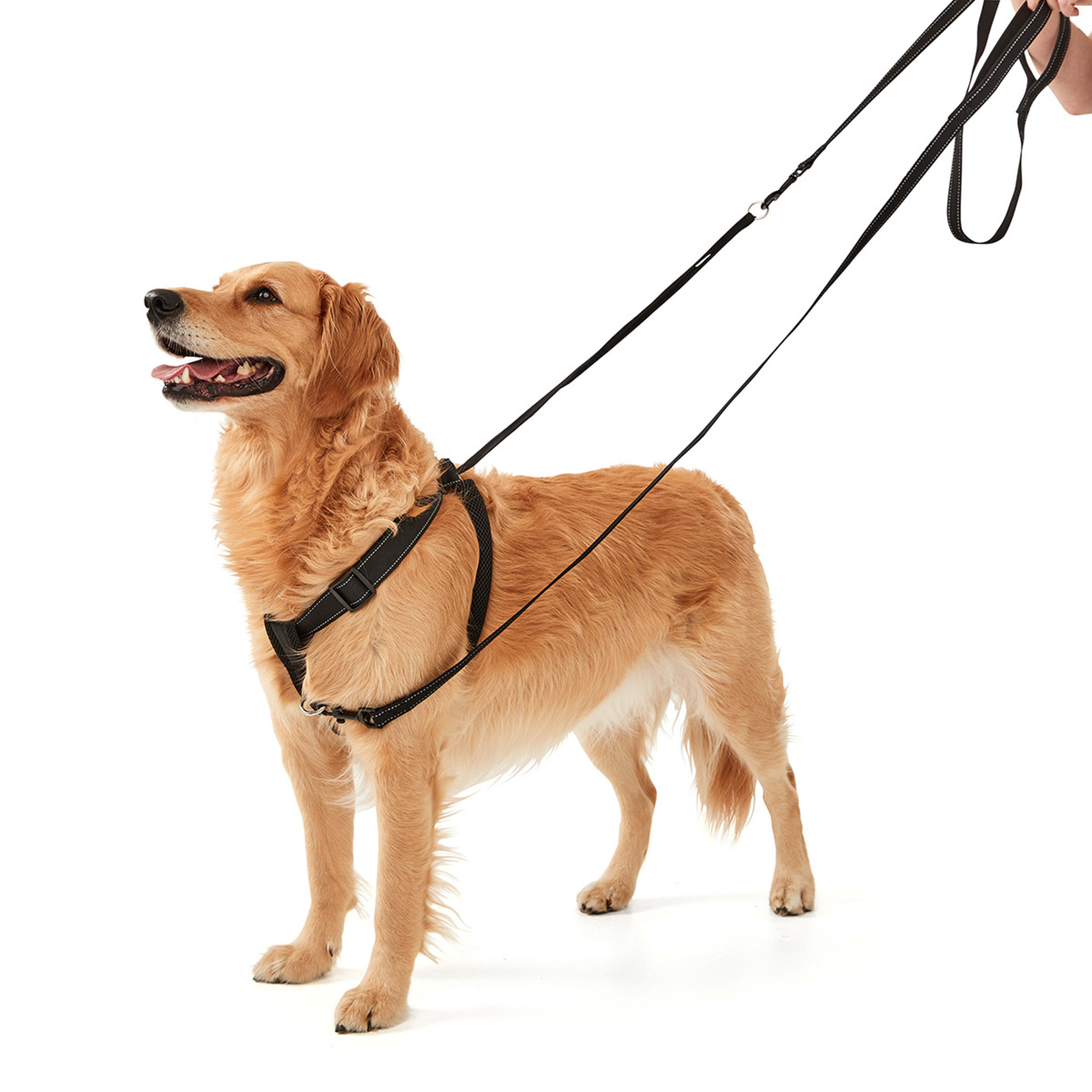 2 Dog No Pull Harness - Extra Large, Black, 2 of 10