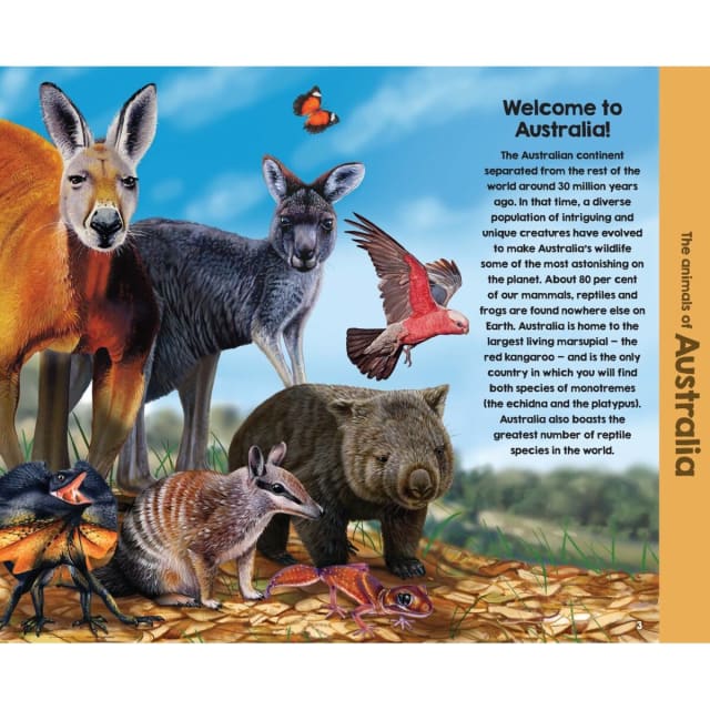 Animals of Australia by Garry Fleming Book Kmart