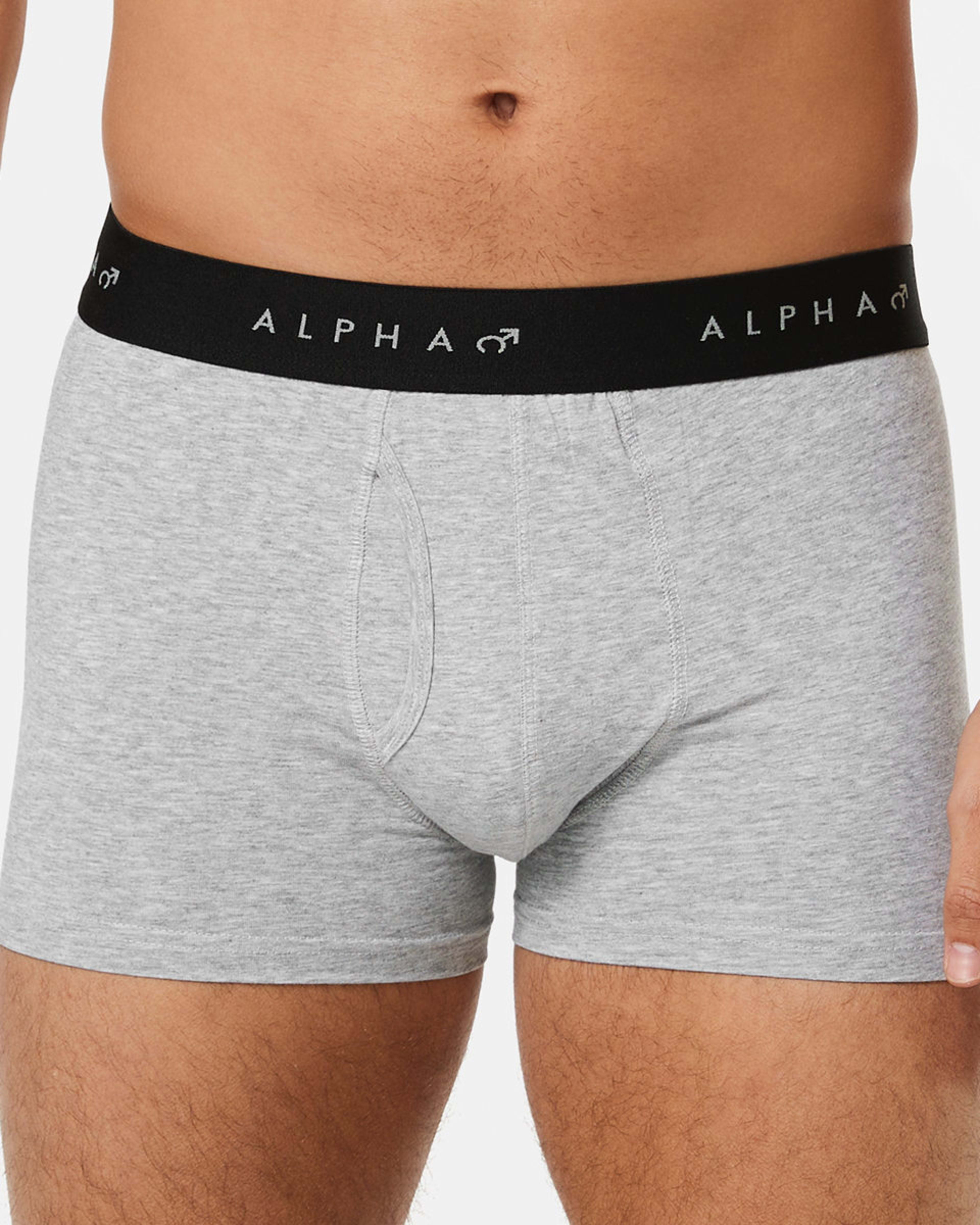 4 3 Pack Fly Front Plain Trunks GREY MARLE, 4 of 8