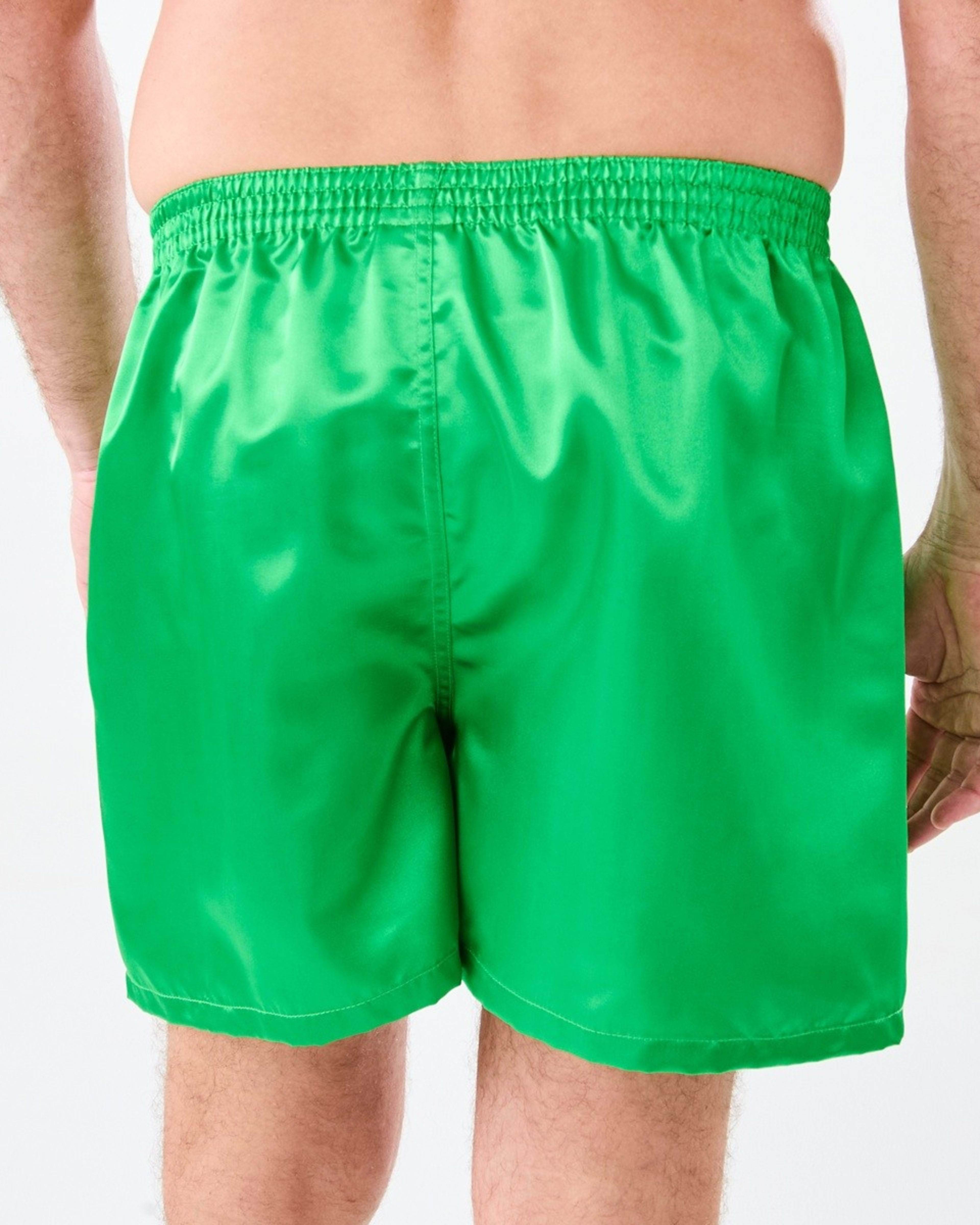 3 Simpsons License Boxers Simpsons Homer Bush, 3 of 5