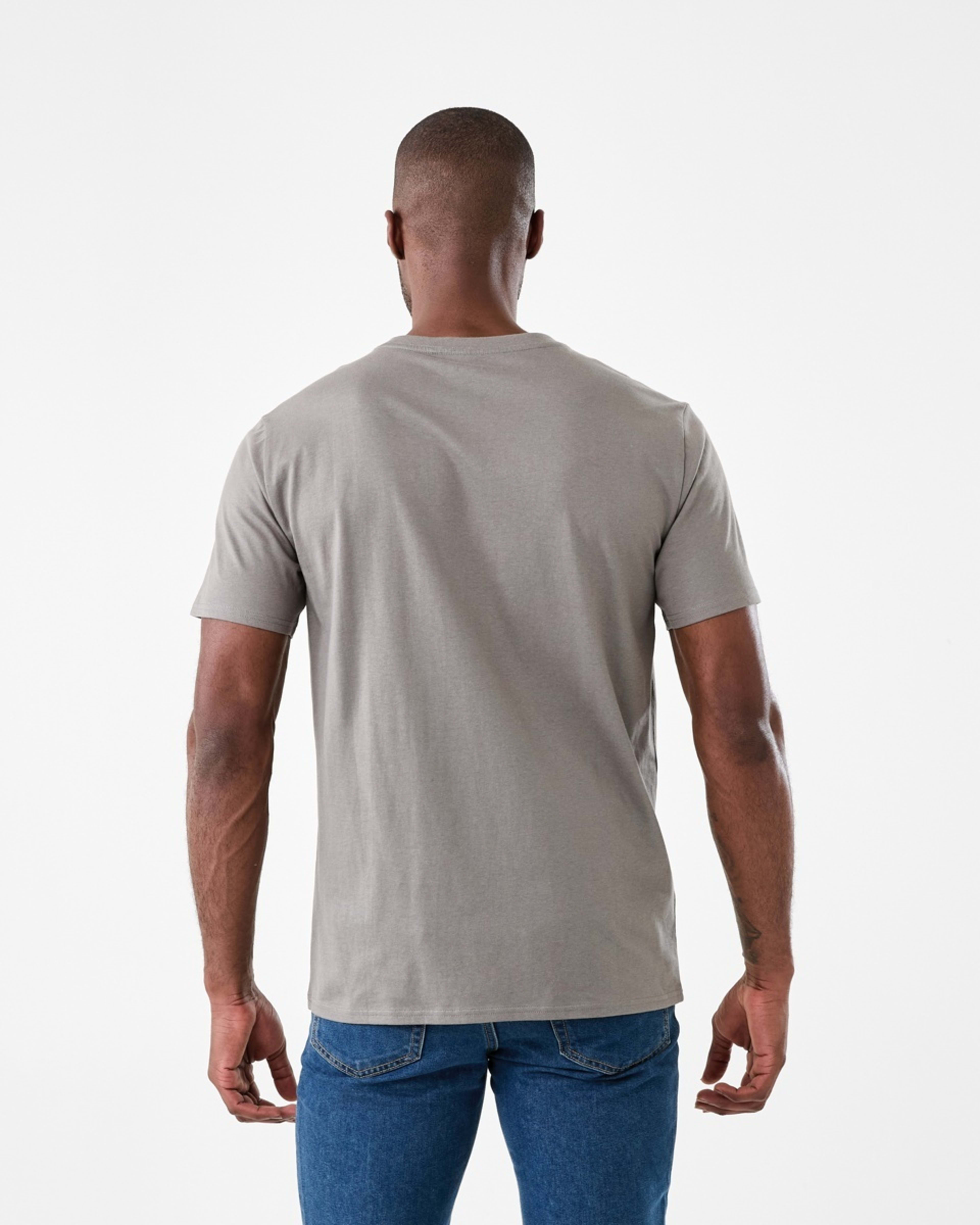 3 Print T-shirt Gry Grgyle, 3 of 5