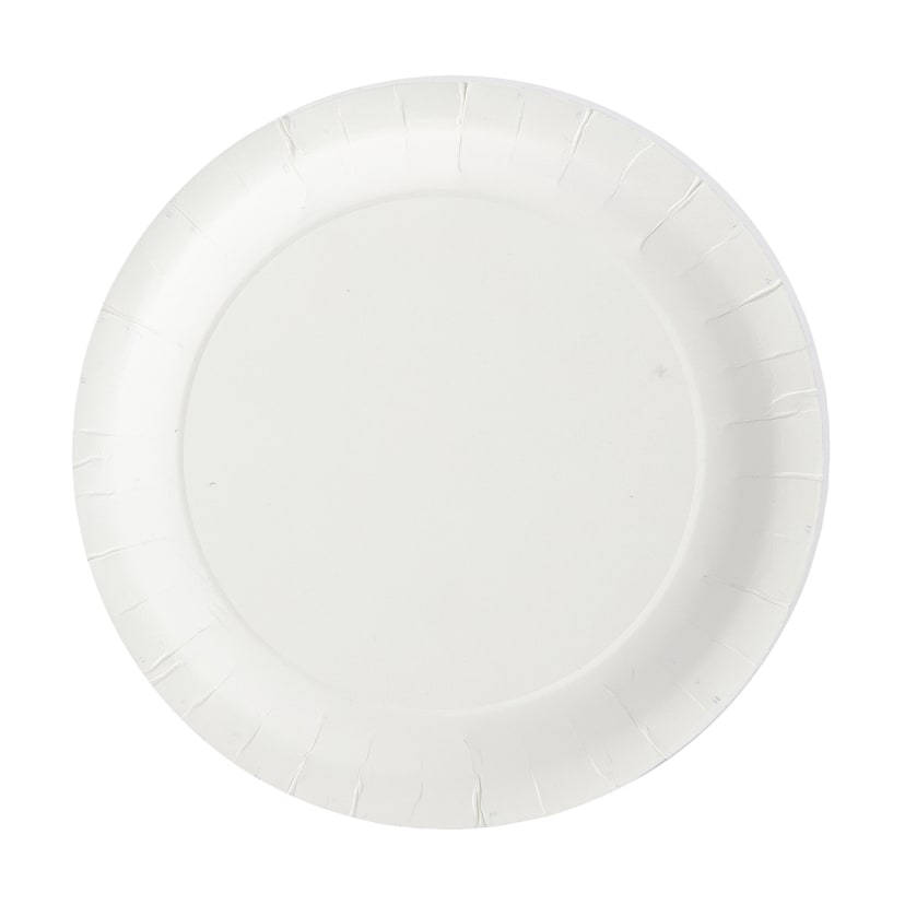 16 Pack Blue Paper Plates Kmart NZ