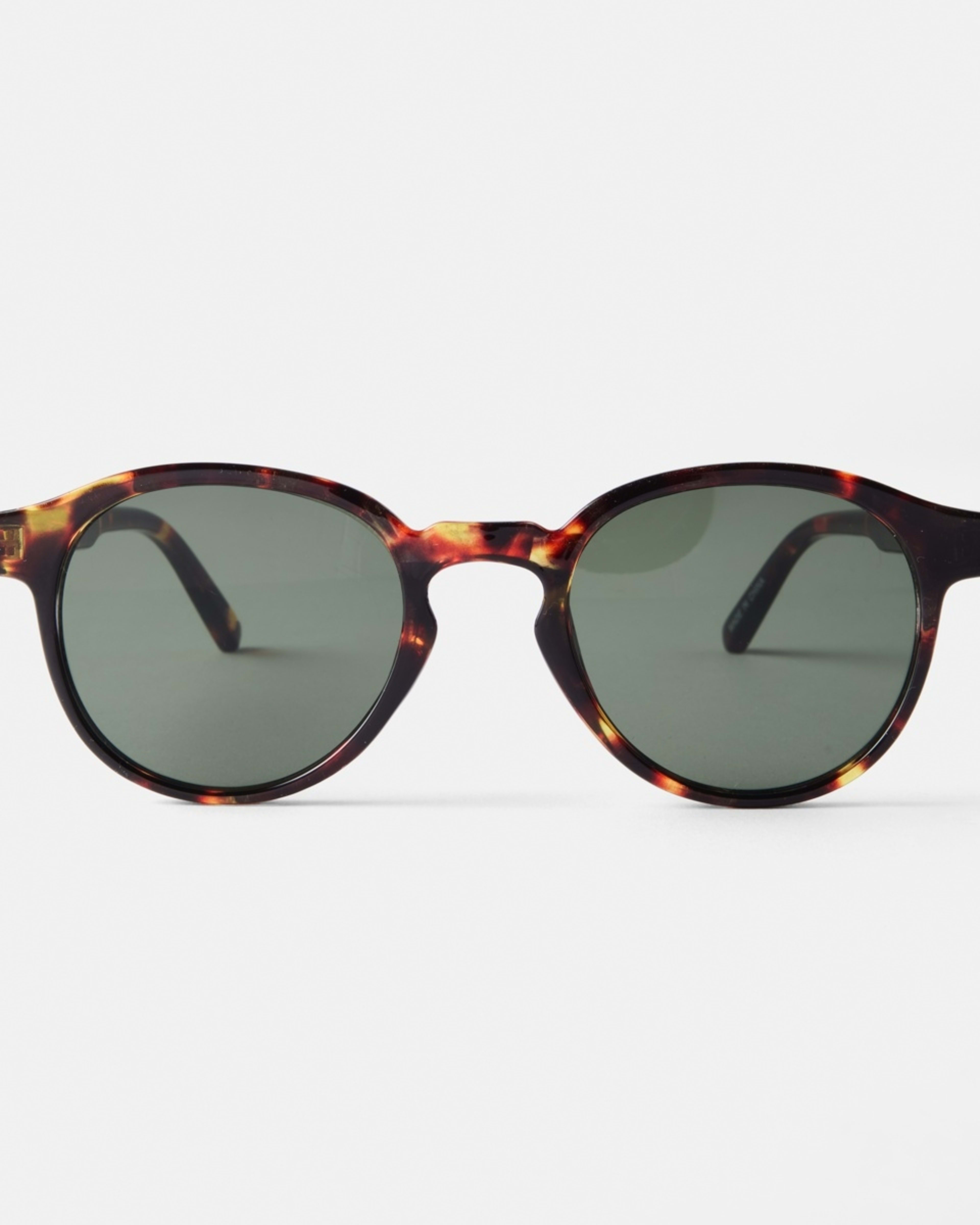 1 Clear Frame Sunglasses BROWN