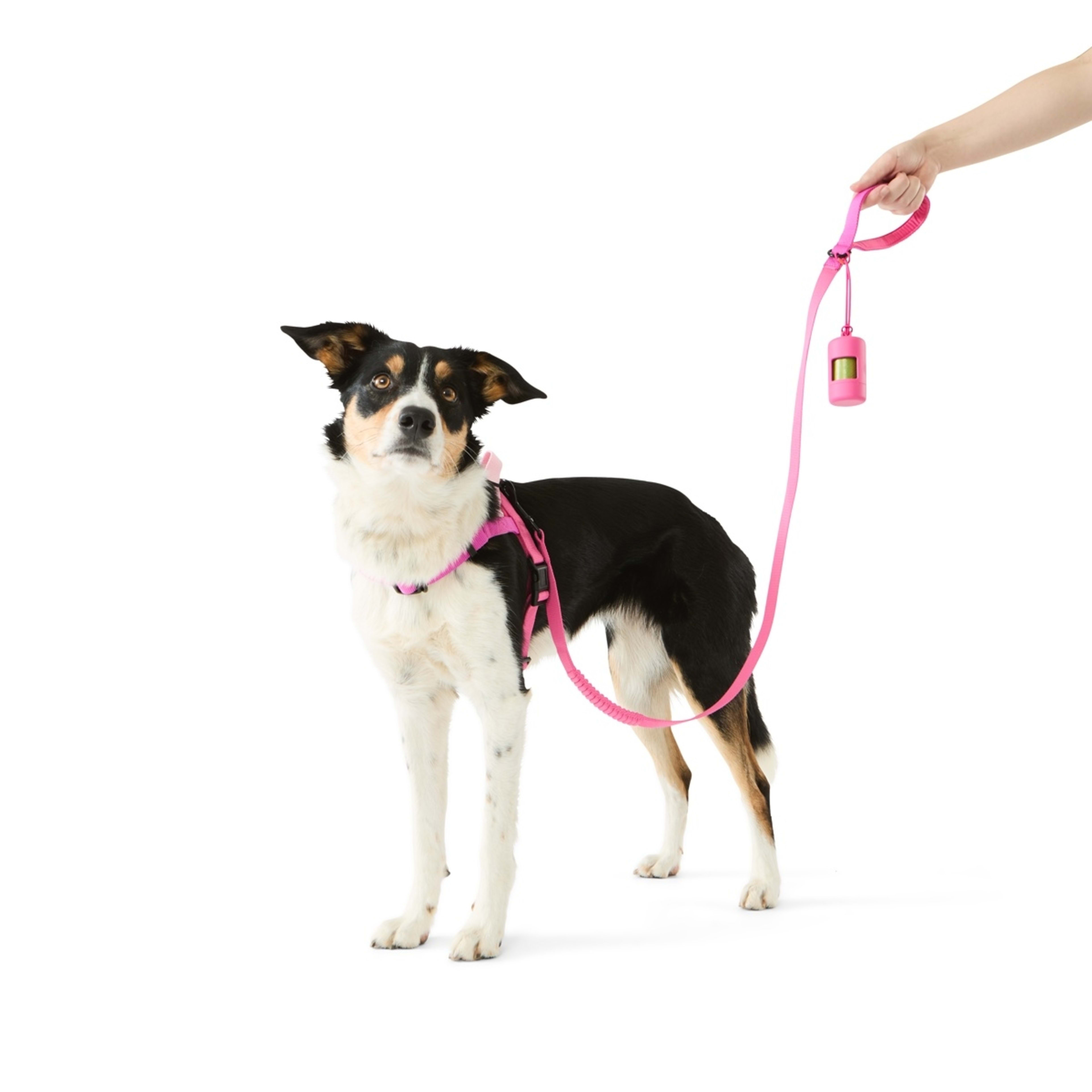 1 Pet Walking Set - Medium, Pink