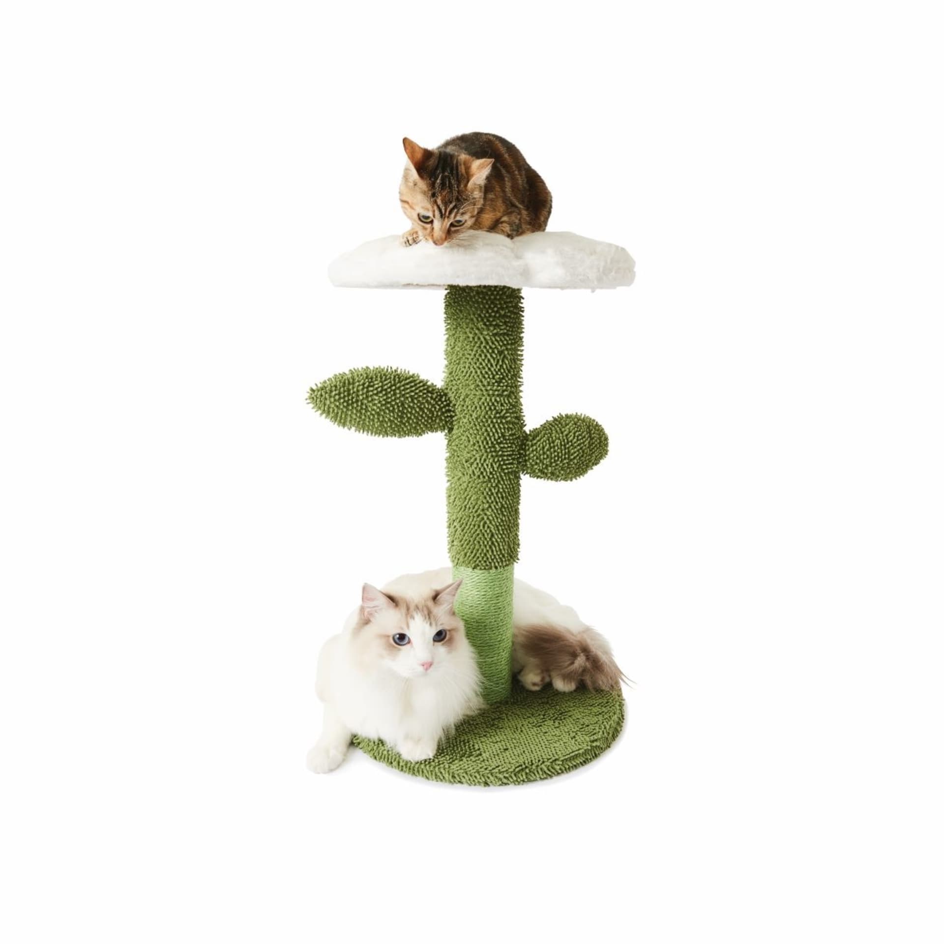 Cat Scratcher Flower Kmart