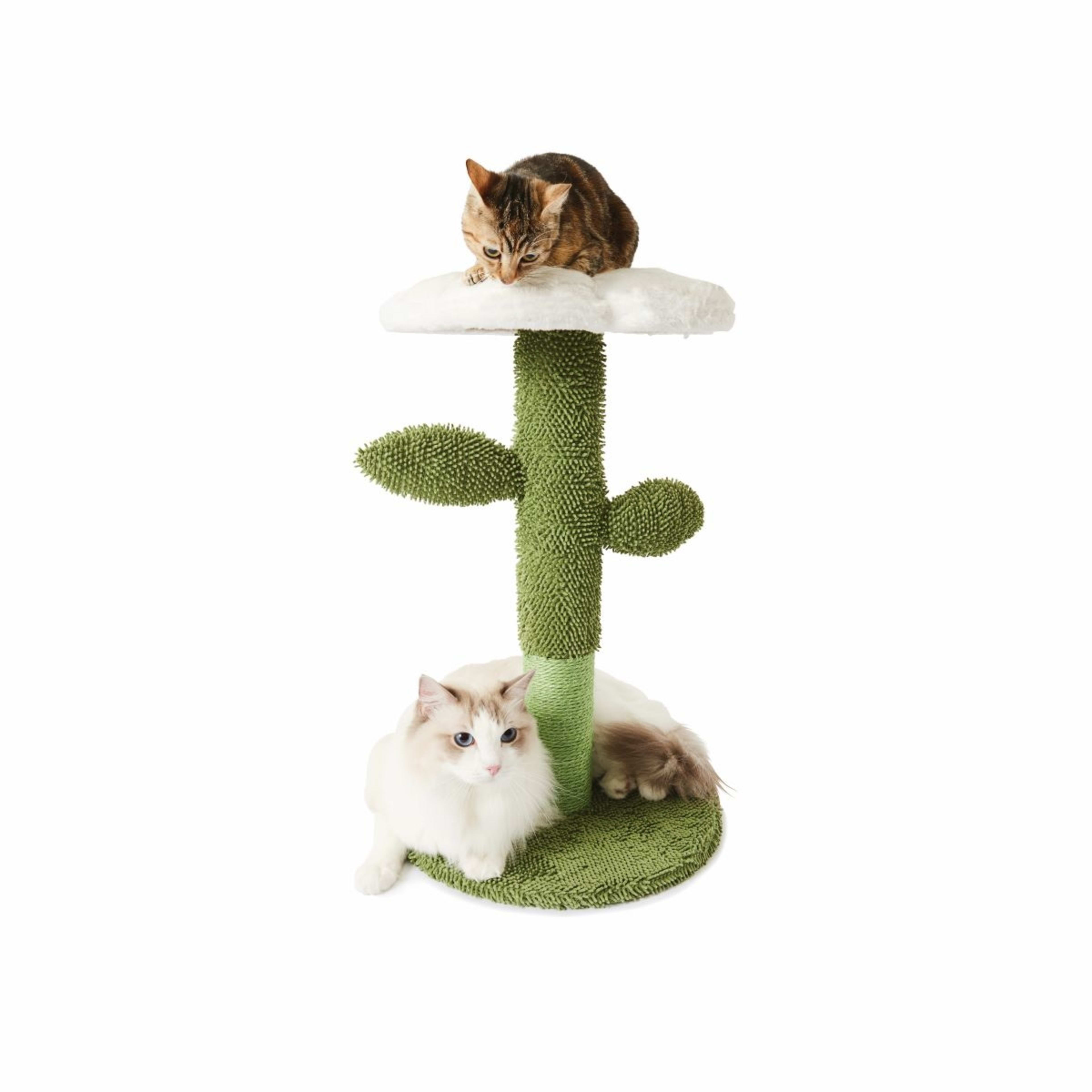 Cat Scratcher Flower Kmart