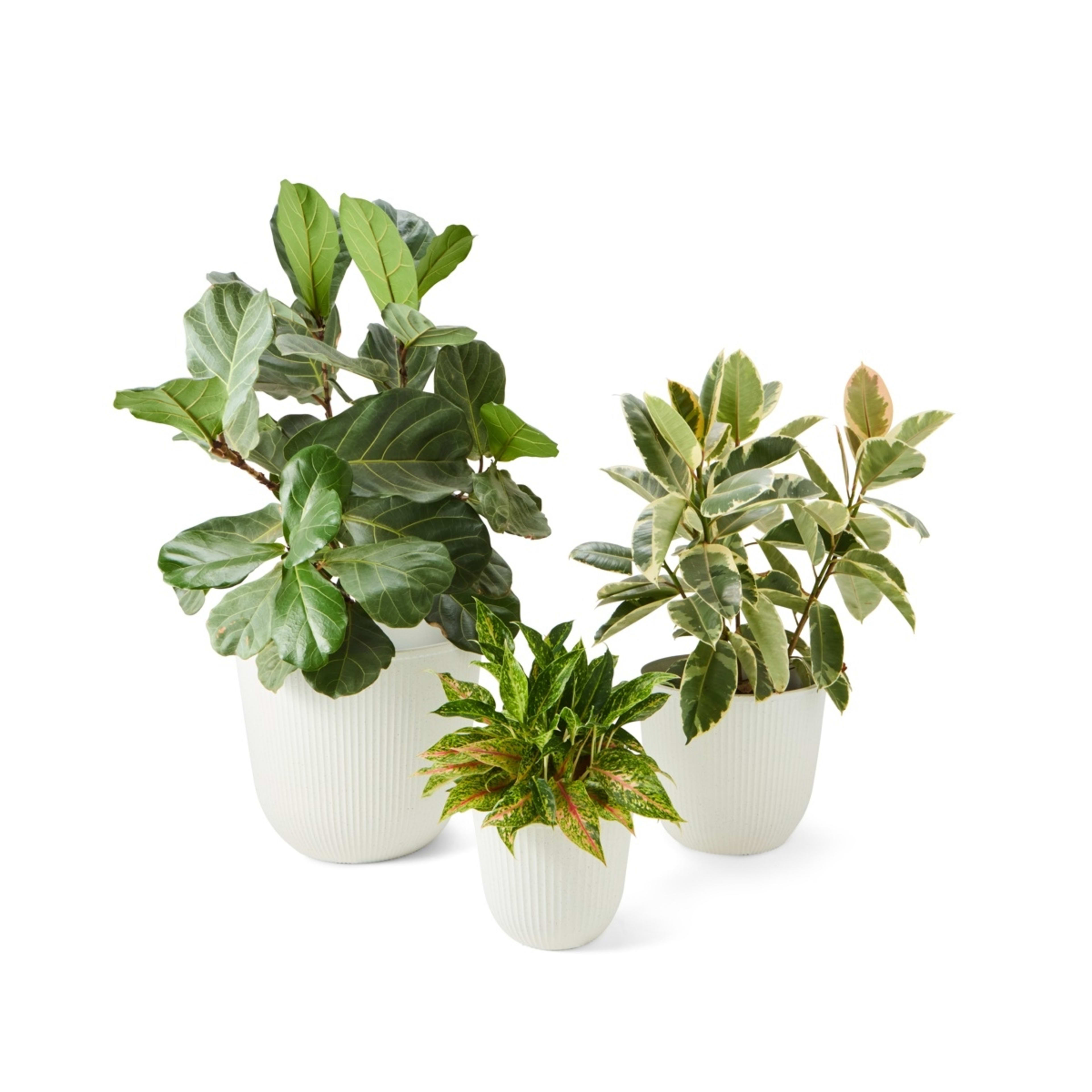 1 Set of 3 Linear Pots