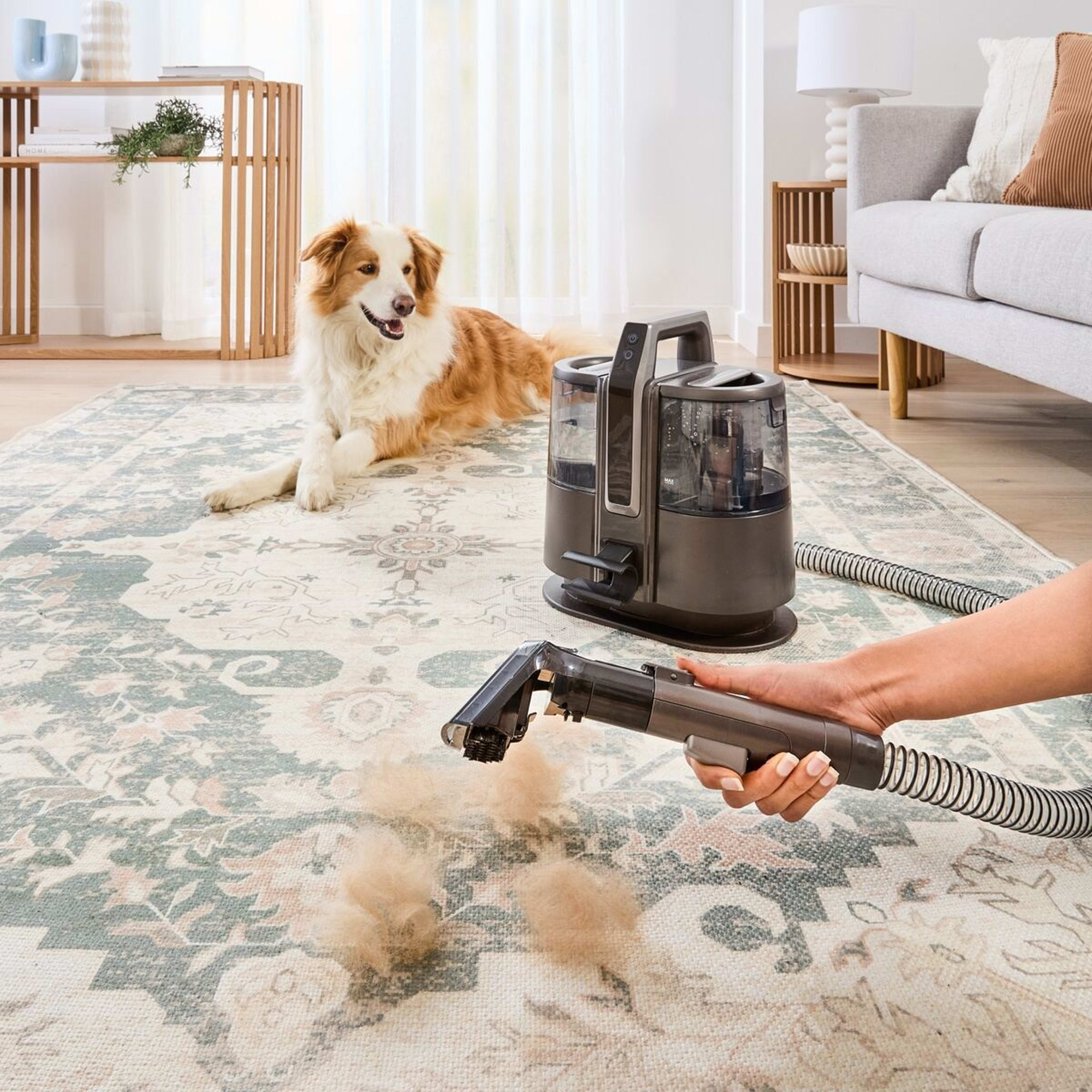 3 Cordless Spot Cleaner - Grey and Black, 3 of 10