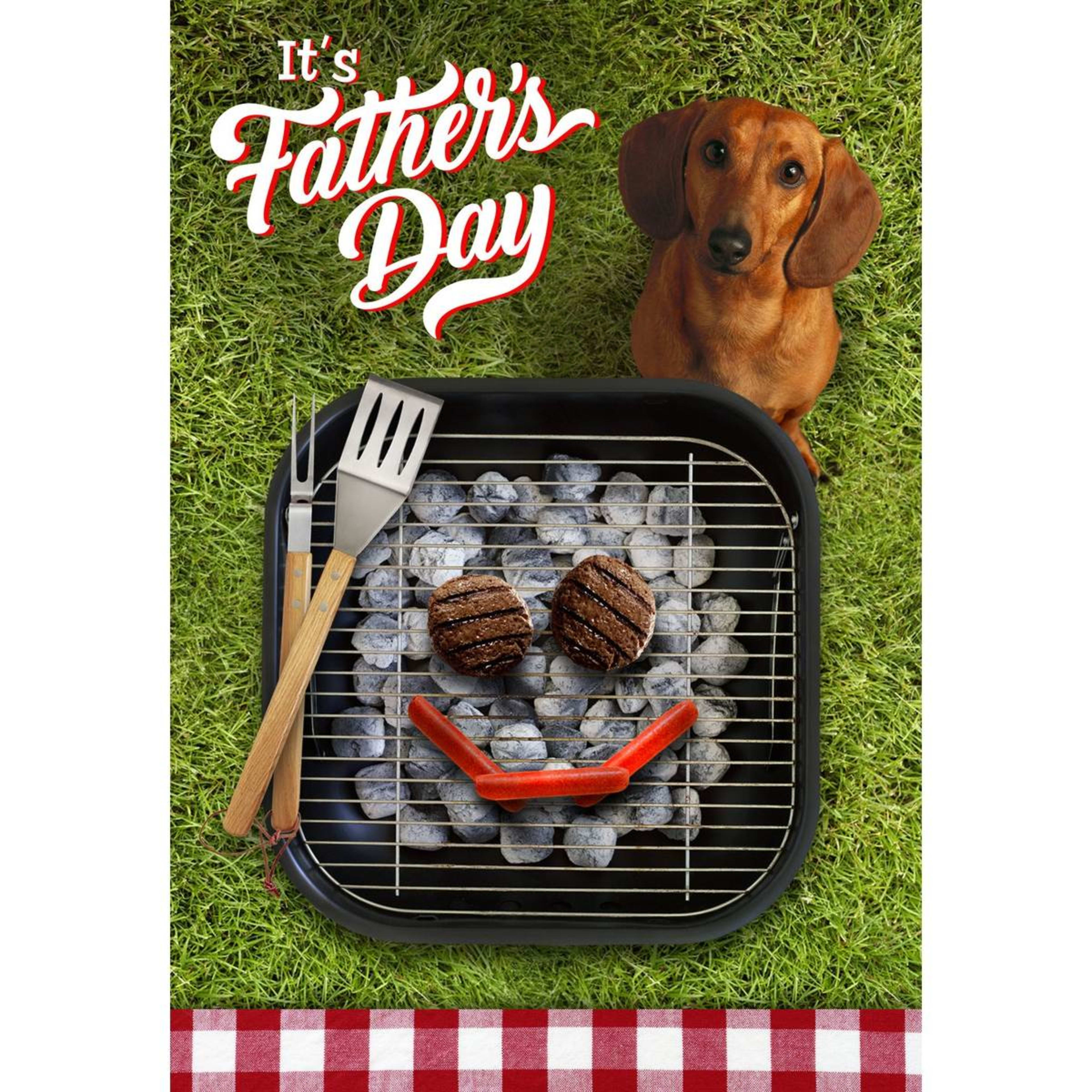1 Hallmark Father's Day Card - King of the Grill