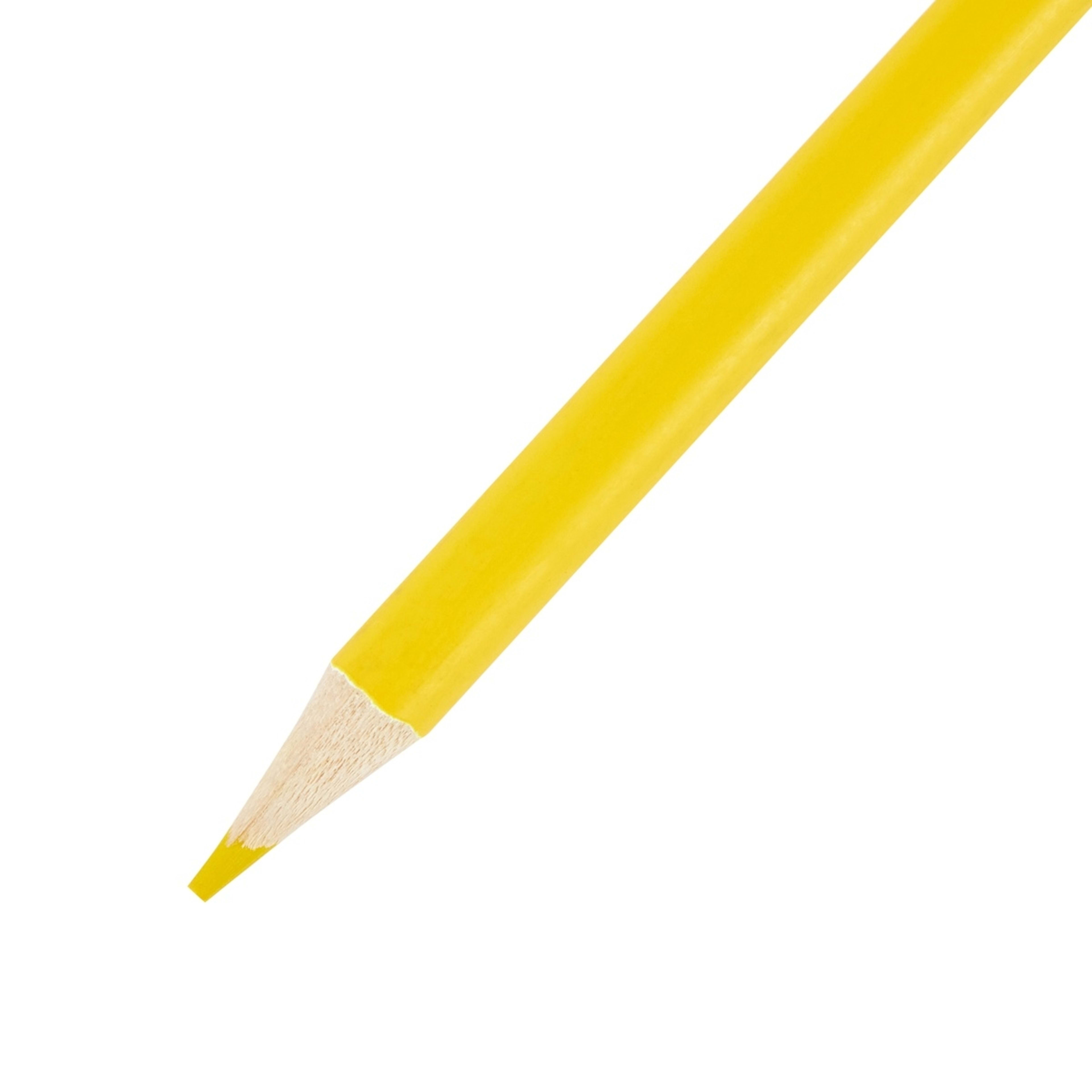 5 12 Pack Bright Coloured Pencils, 5 of 5