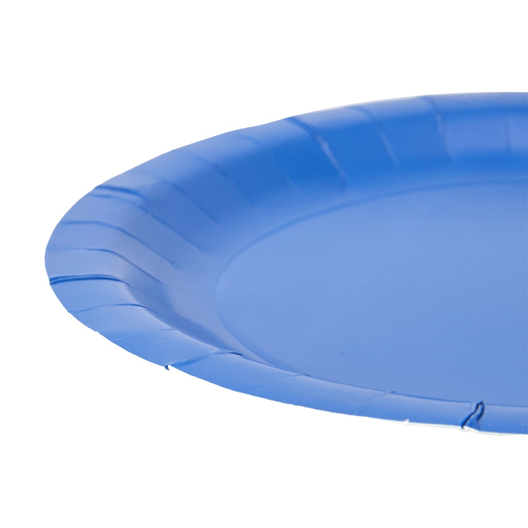 16 Pack Blue Paper Plates Kmart
