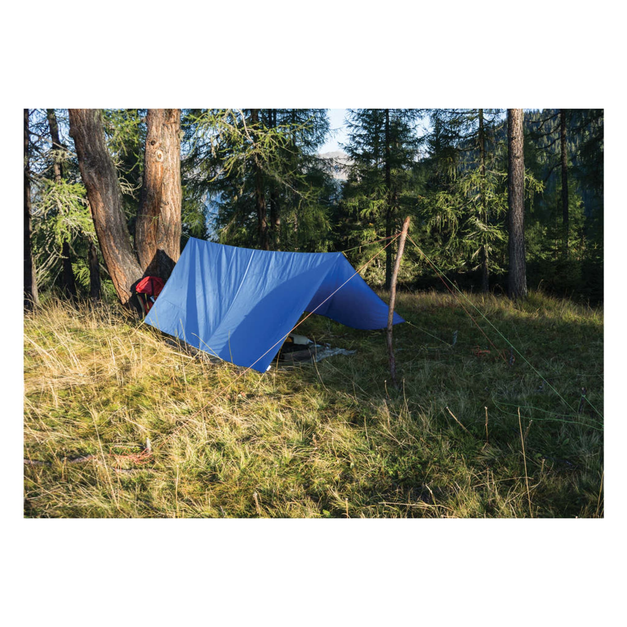 4' X 6' Tarp Kmart