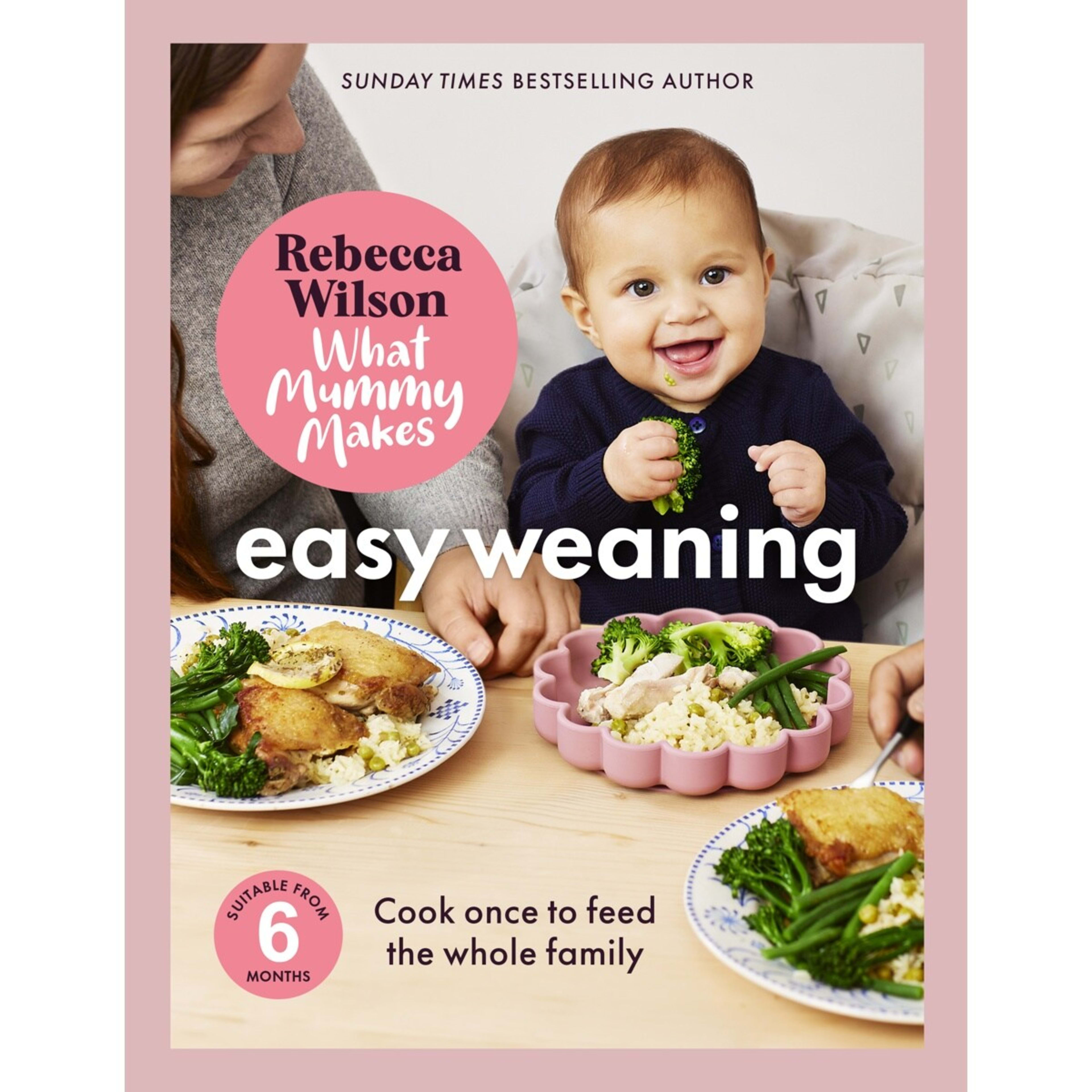 1 What Mummy Makes: Easy Weaning by Rebecca Wilson - Book