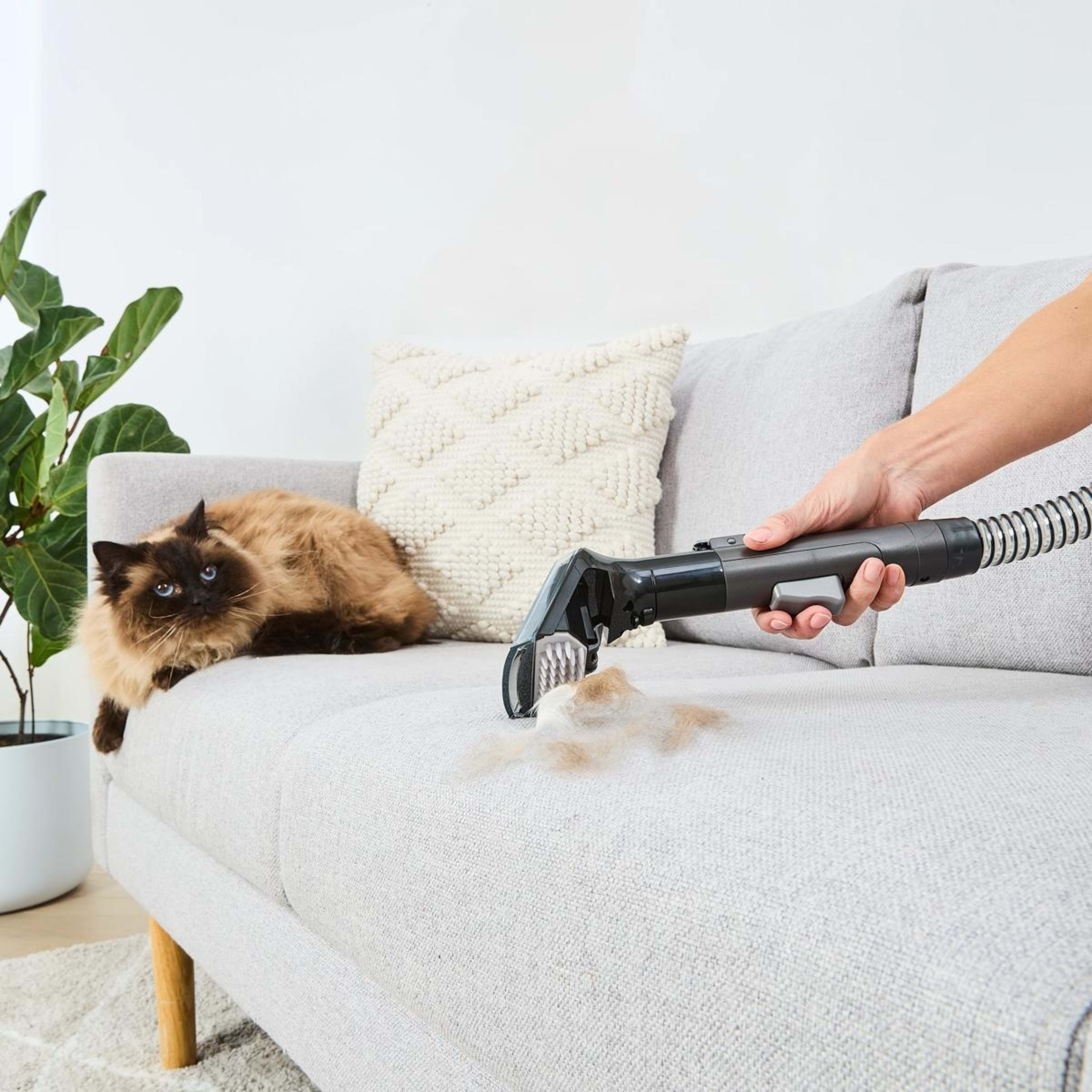 6 Multi-Purpose Spot Cleaner, 6 of 10