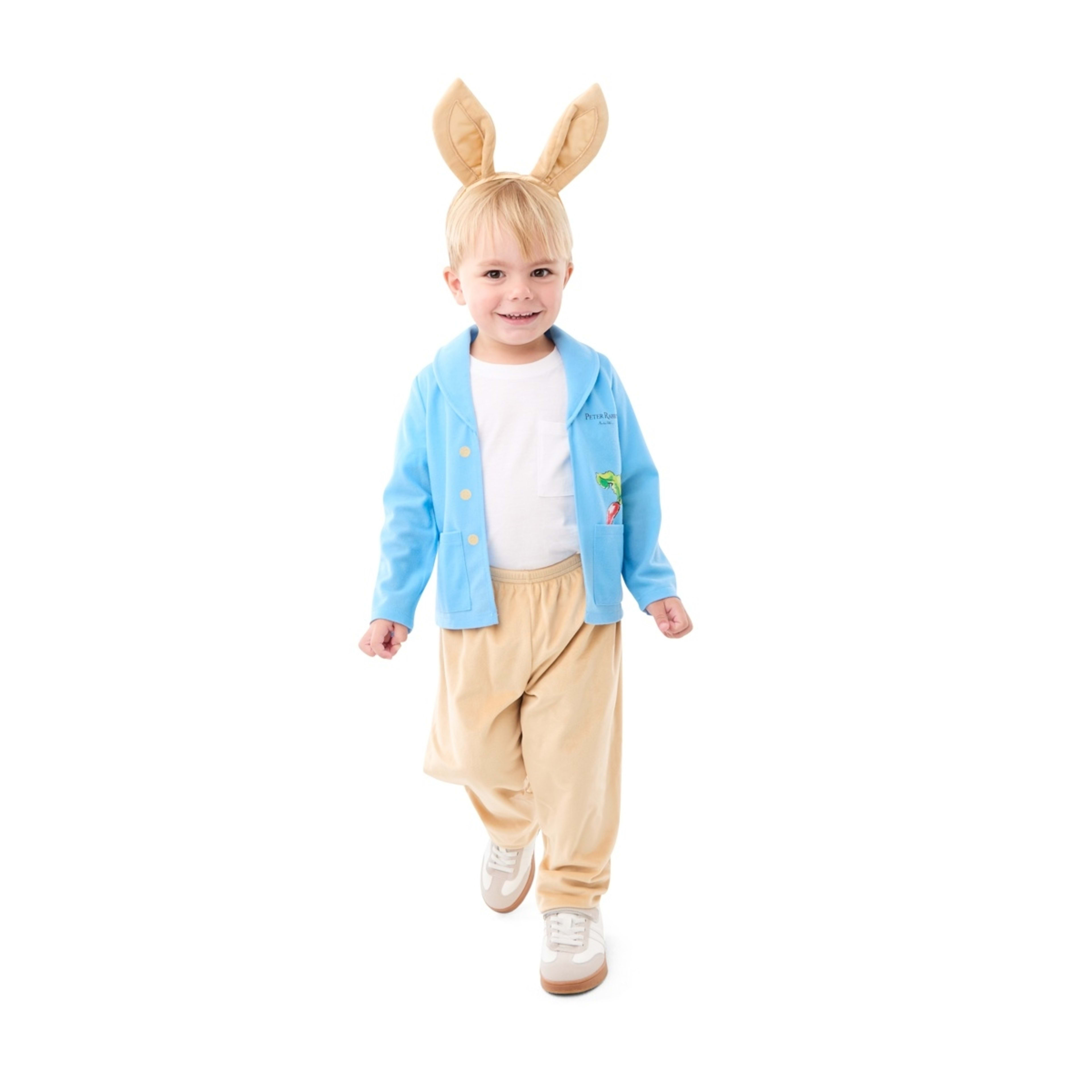 1 The World of Peter Rabbit by Beatrix Potter Costume Set - Ages 2-3