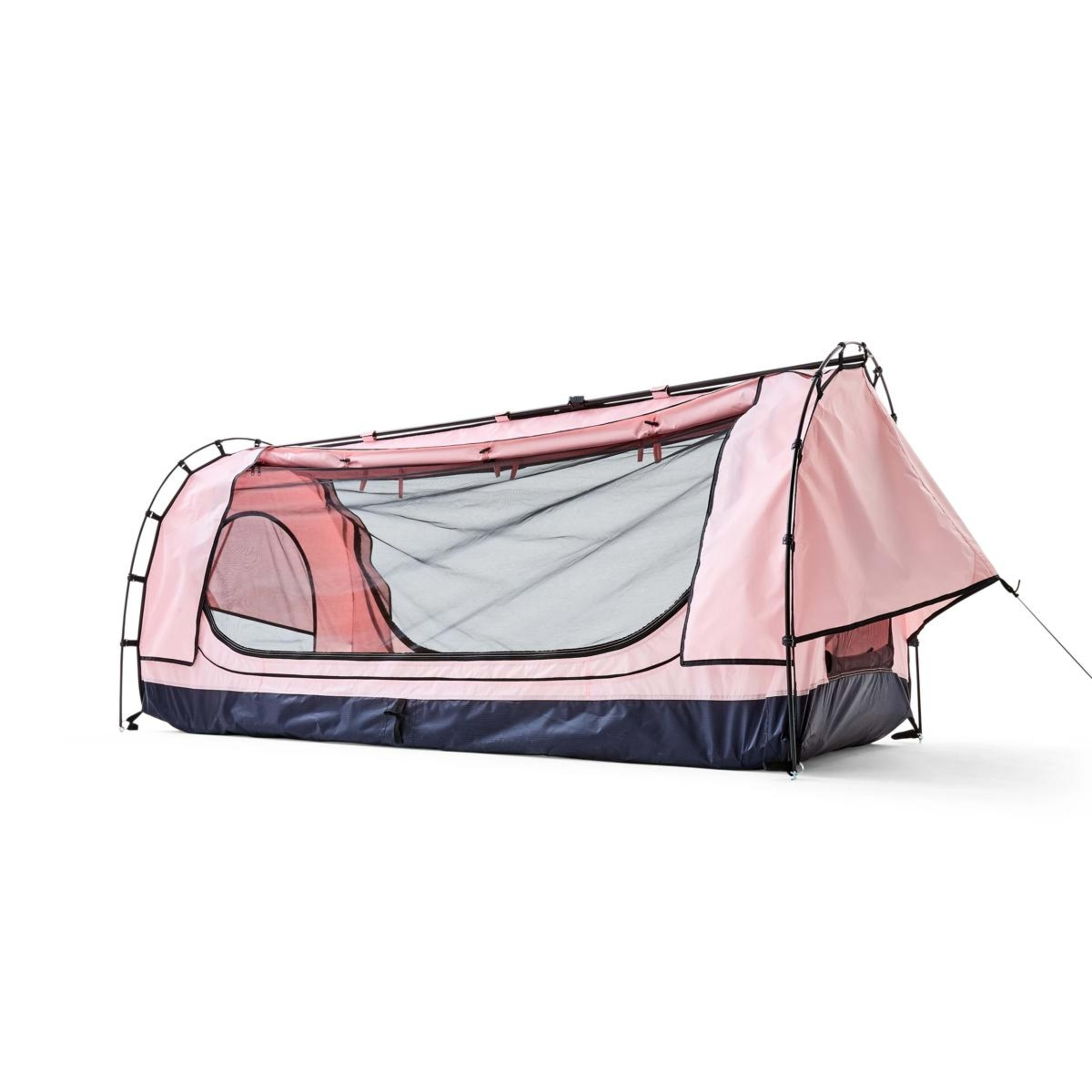 6 Pink Swag, 6 of 10