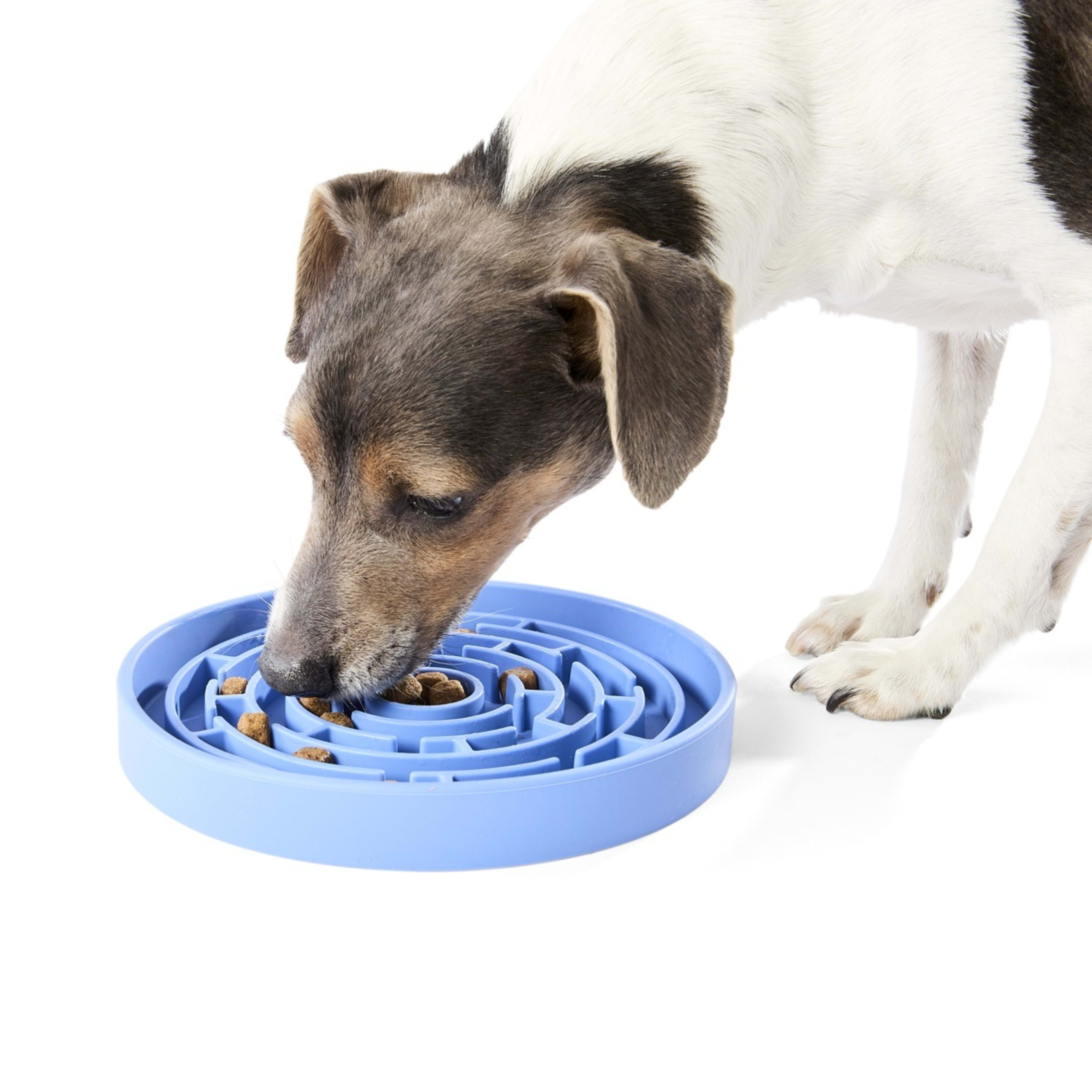 2 Pet Silicone Feeding Plate - Blue, 2 of 7