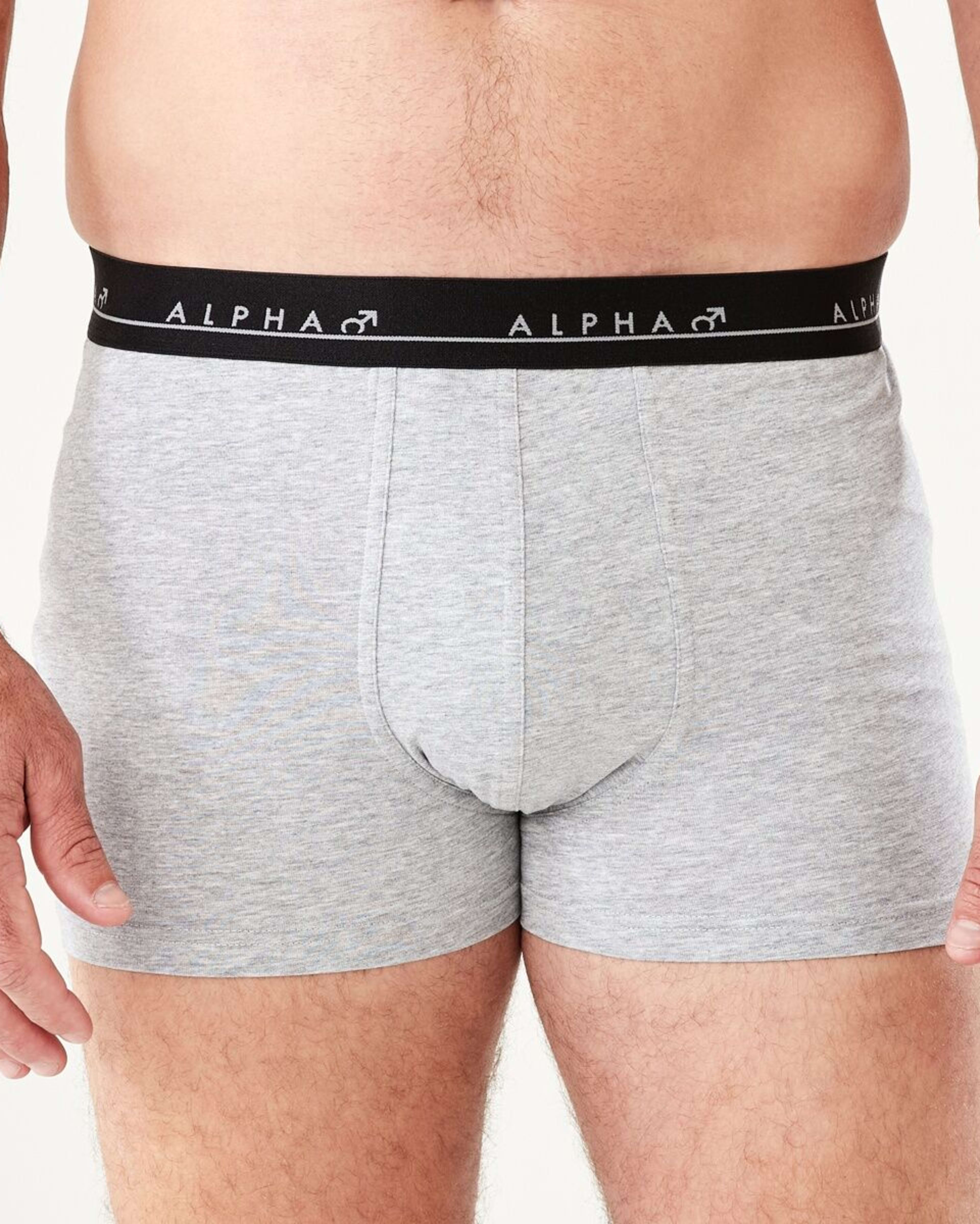 3 5 Pack Trunks BIG JUNGLE ANIMALS, 3 of 10