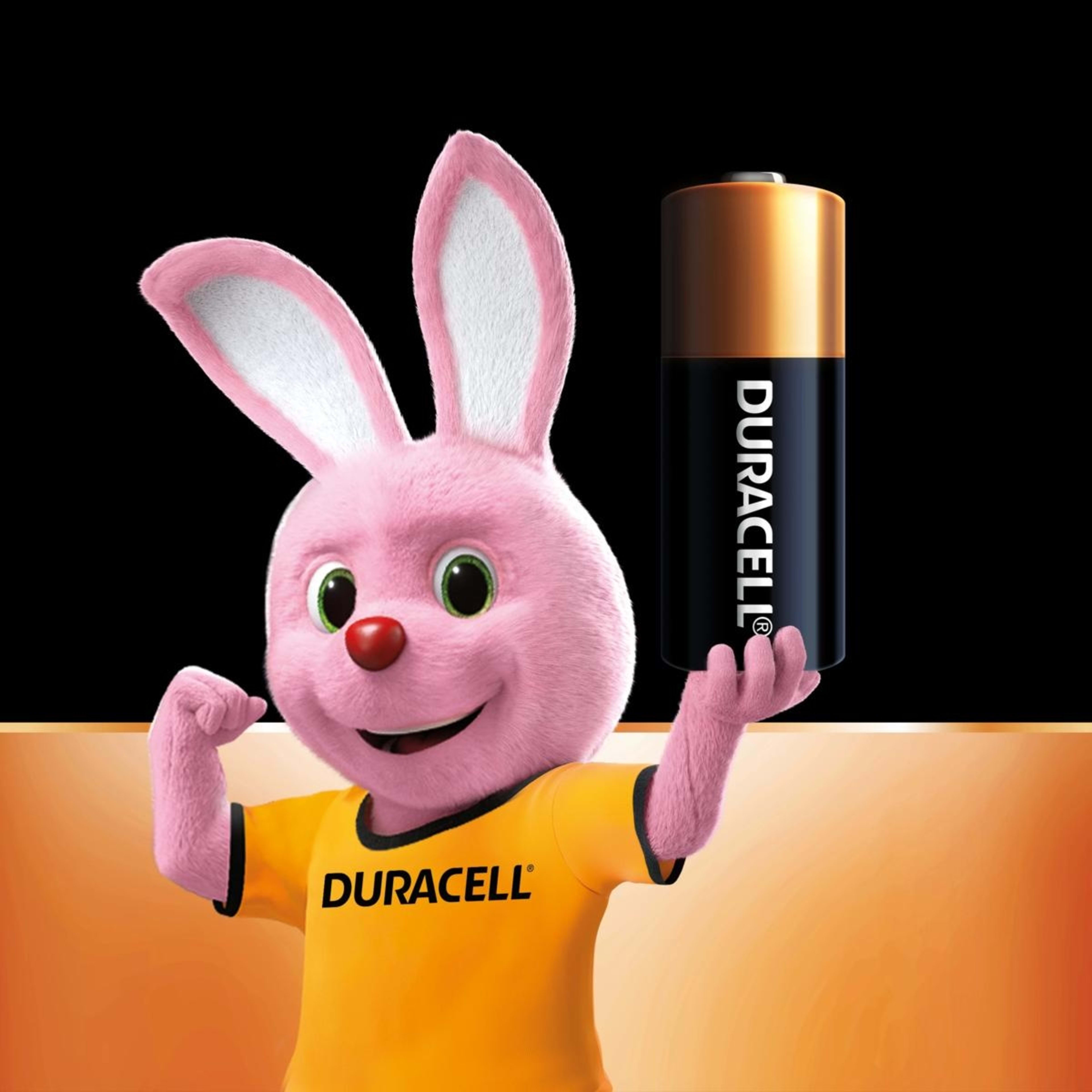 5 Duracell Specialty A23 MN21 12V 2 Pack Batteries, 5 of 5