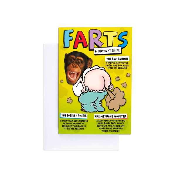 Hallmark Interactive Birthday Card - Funny Farts Monkey - Kmart
