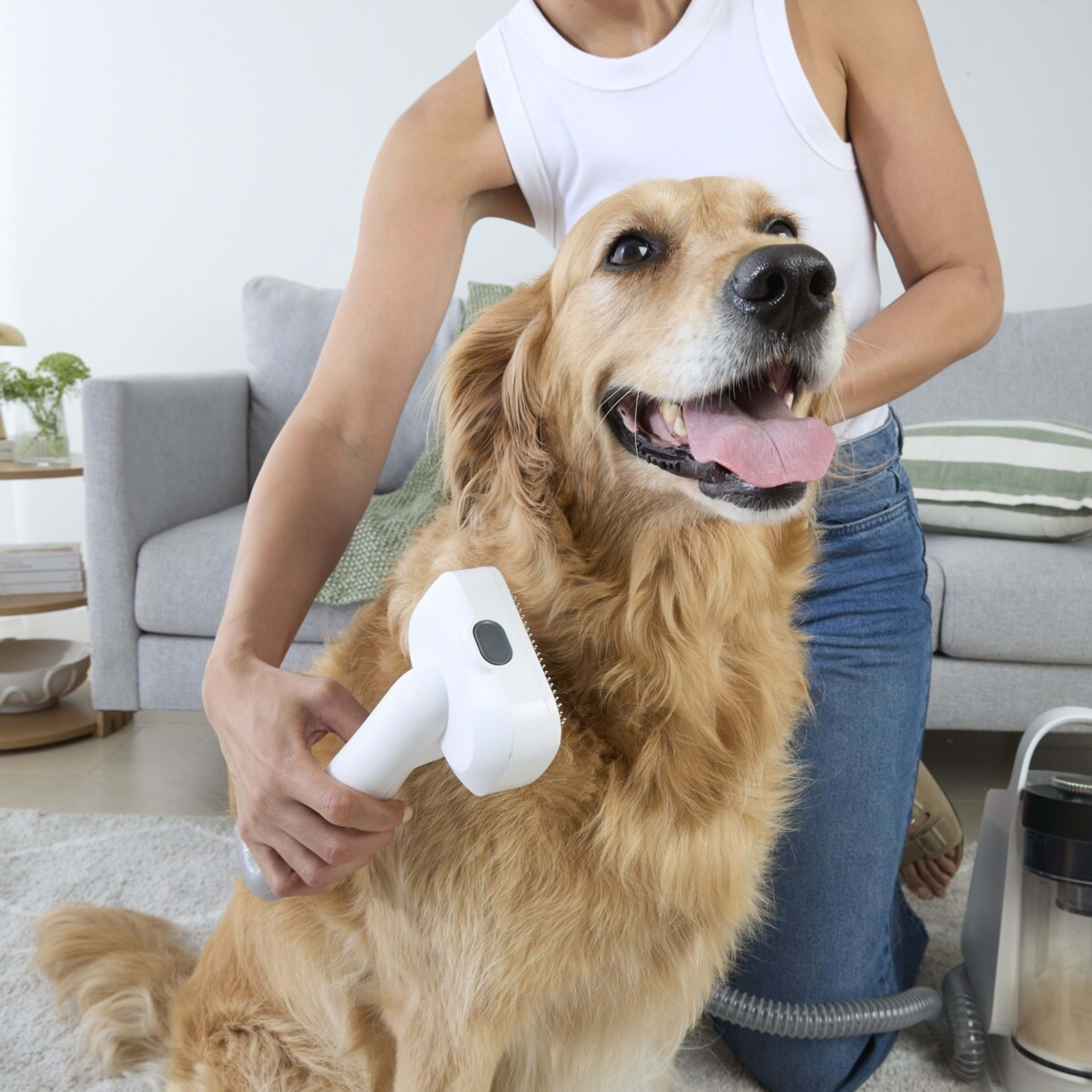 1 Pet Vacuum and Grooming Kit