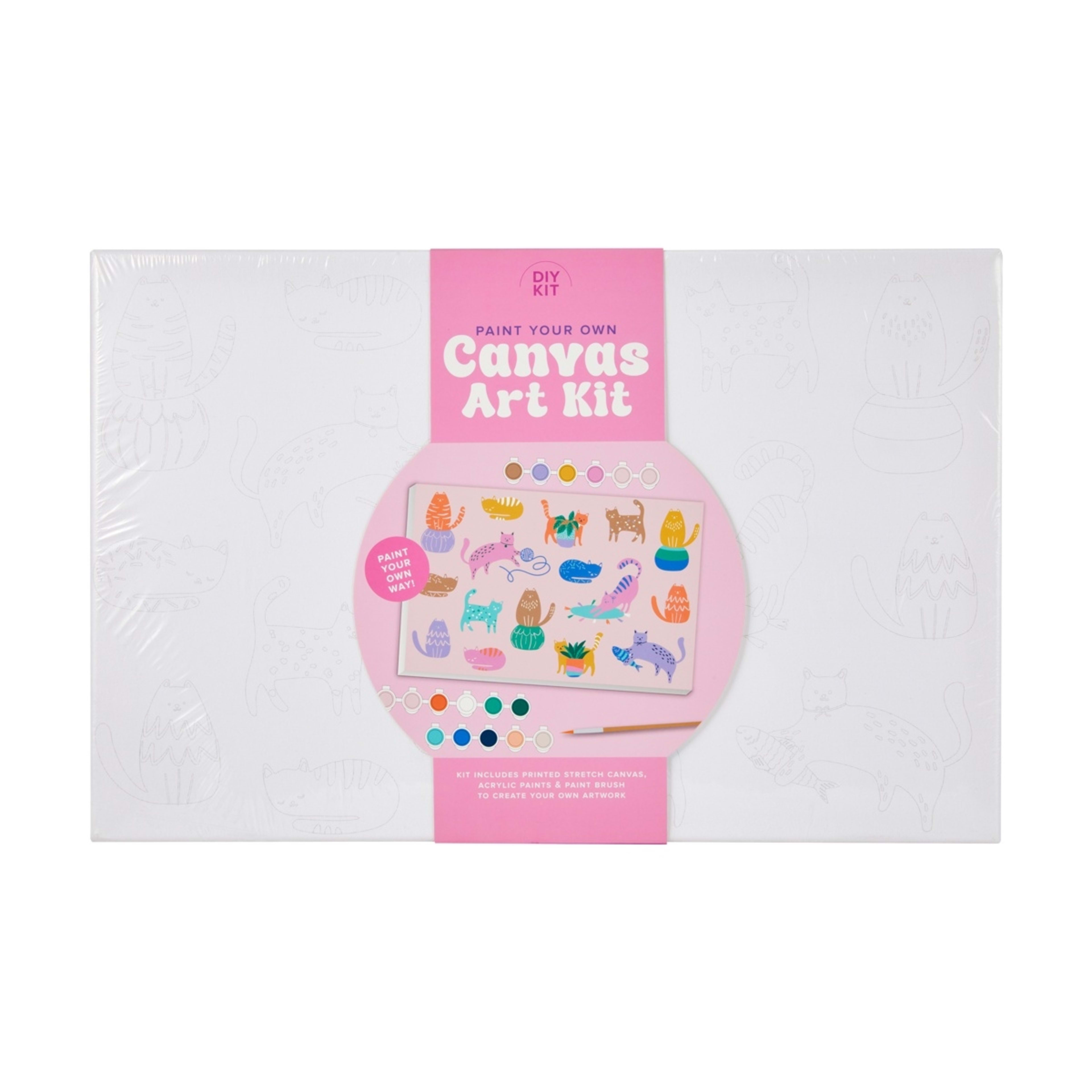 1 Paint Your Own Canvas Art Kit