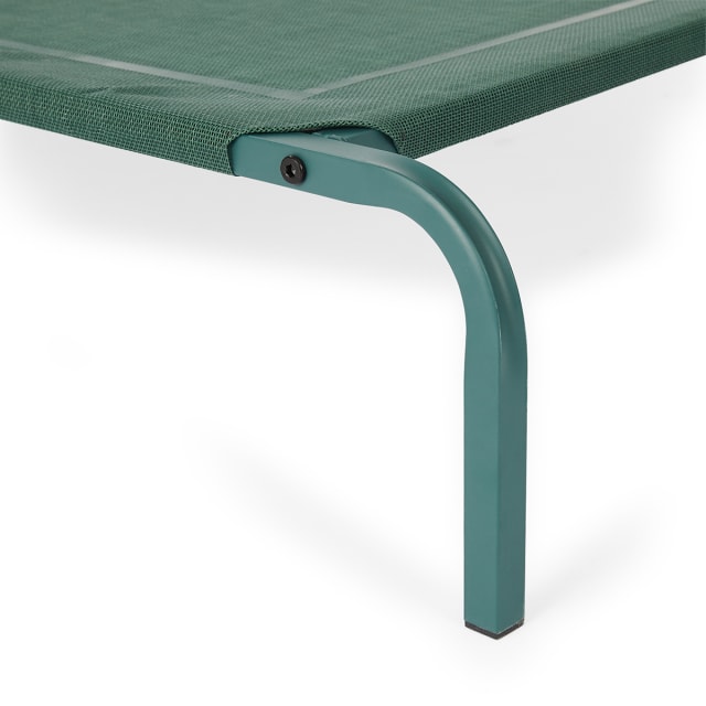 Pet Bed Elevated Large Kmart