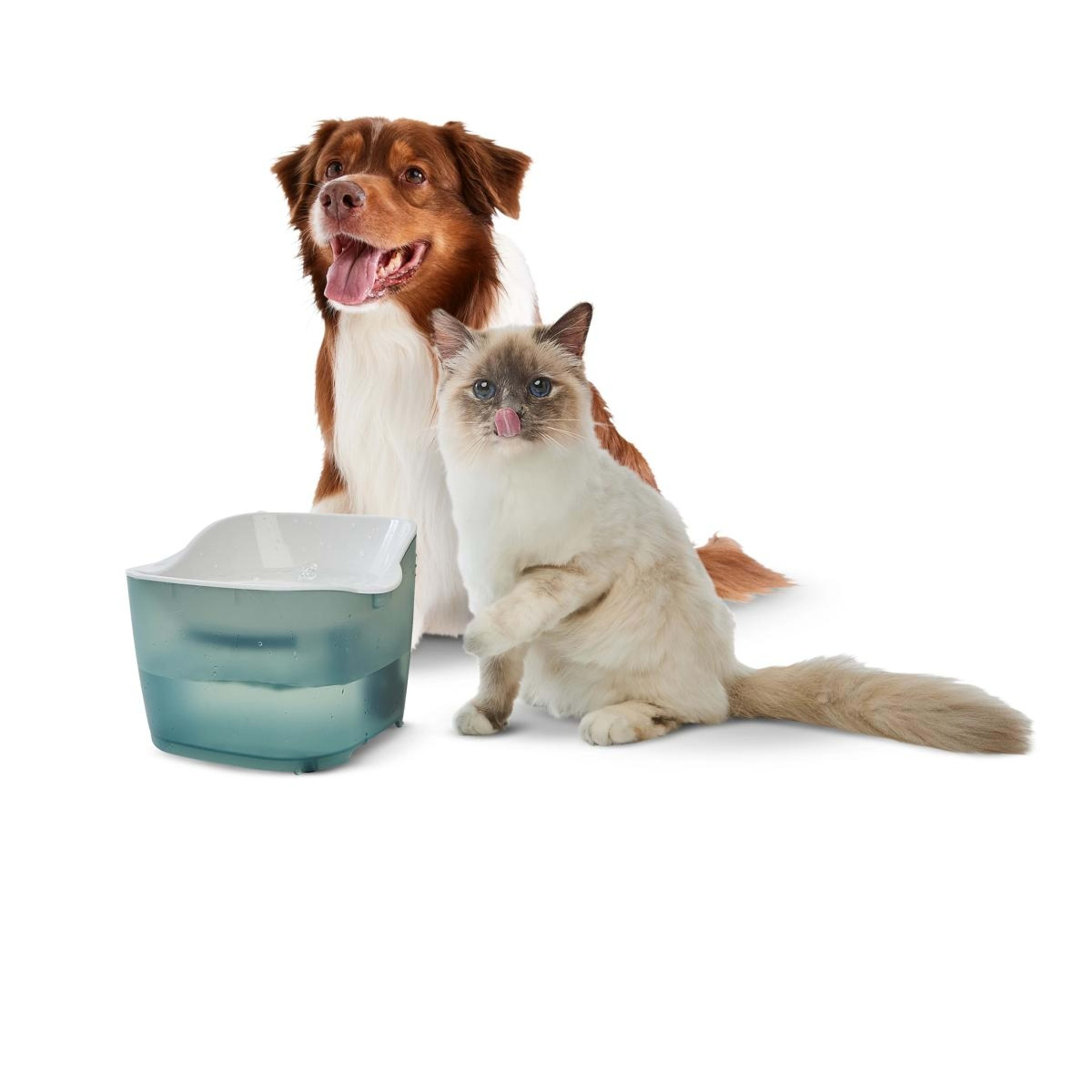 1 Pet Water Fountain