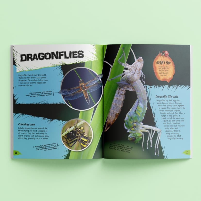 Incredible But True Bugs & Insects Book Kmart