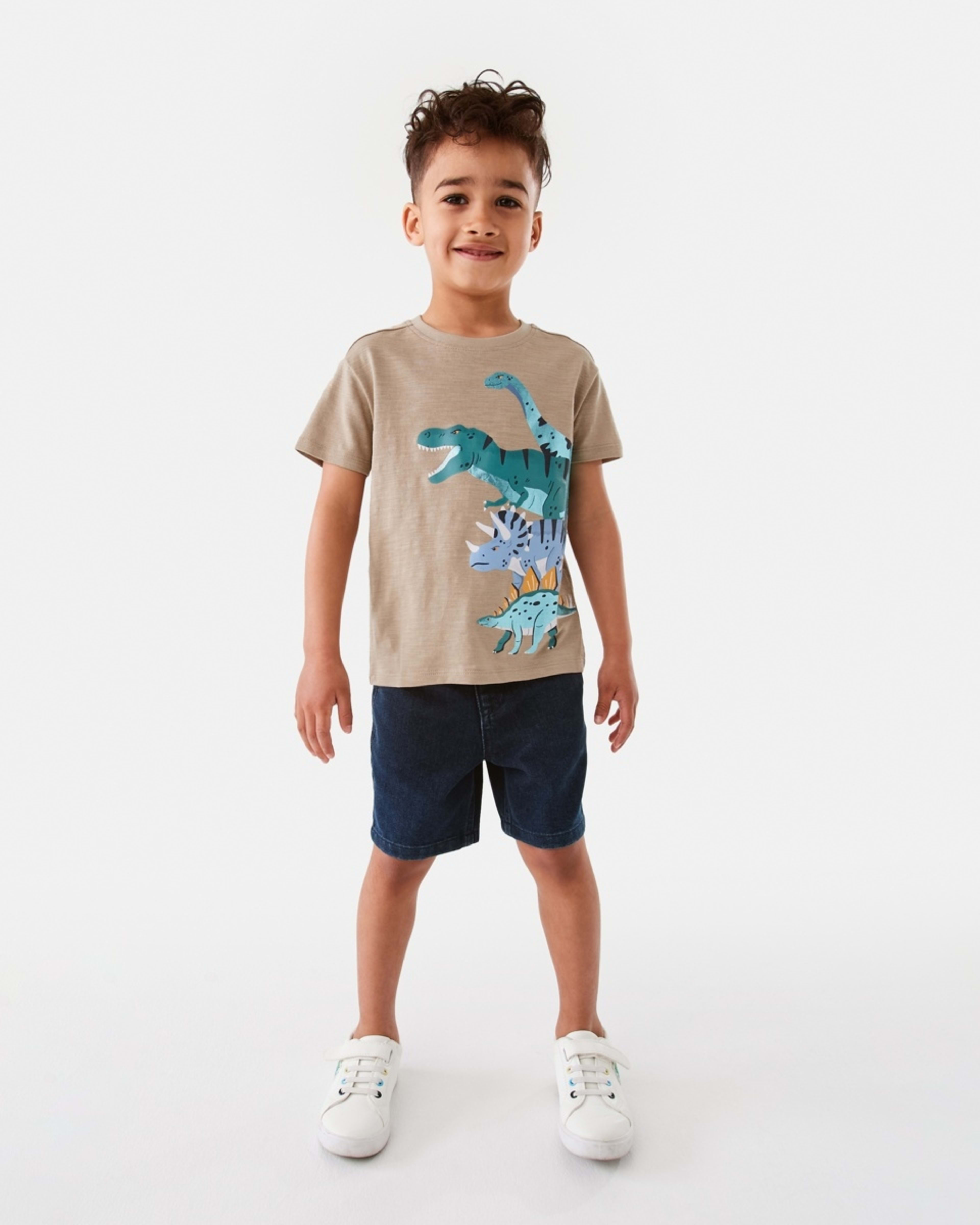 5 Foil Print T-shirt Tan Dinos, 5 of 8