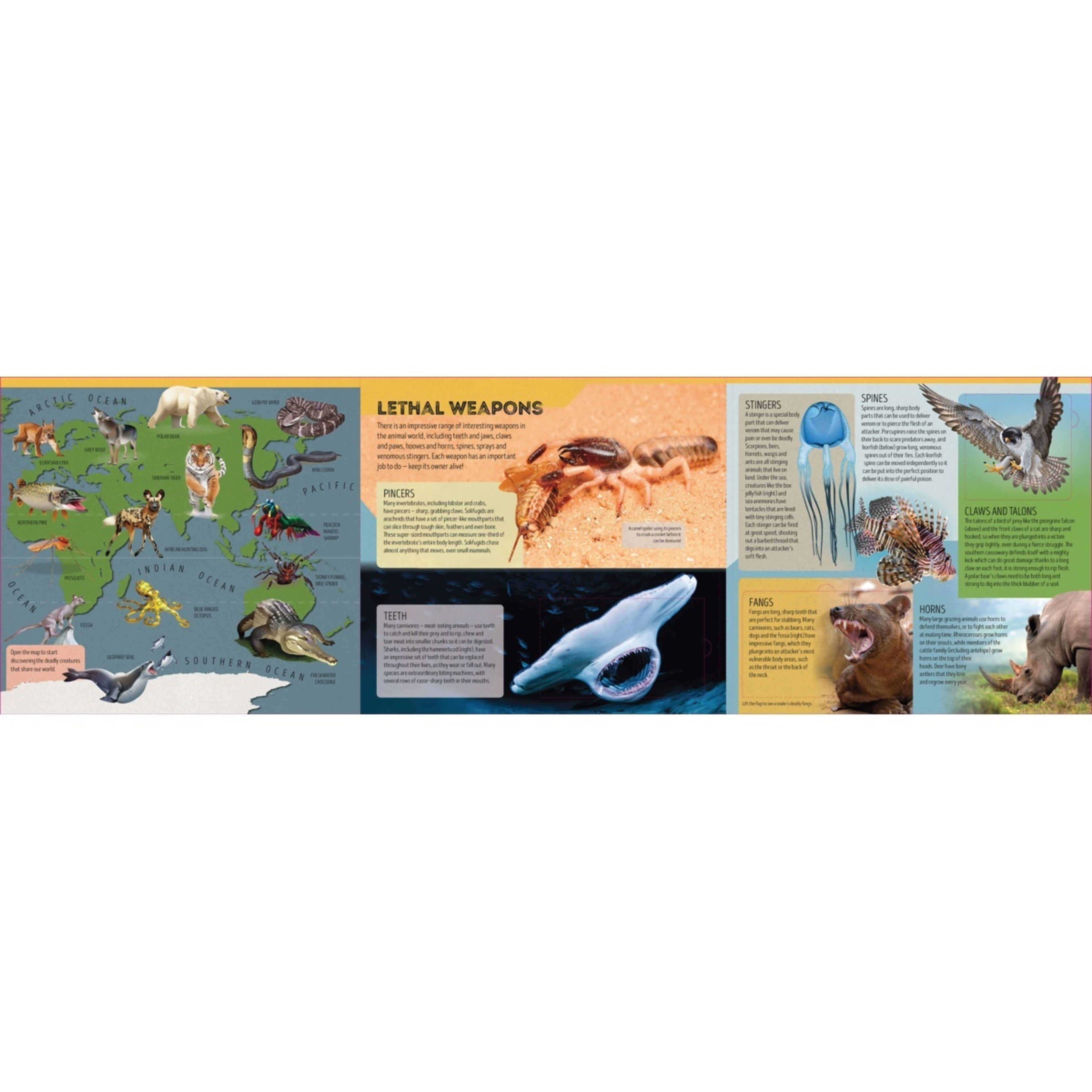 4 Lonely Planet Kids Deadly Animal Atlas by Camilla de la Bedoyere - Book, 4 of 5