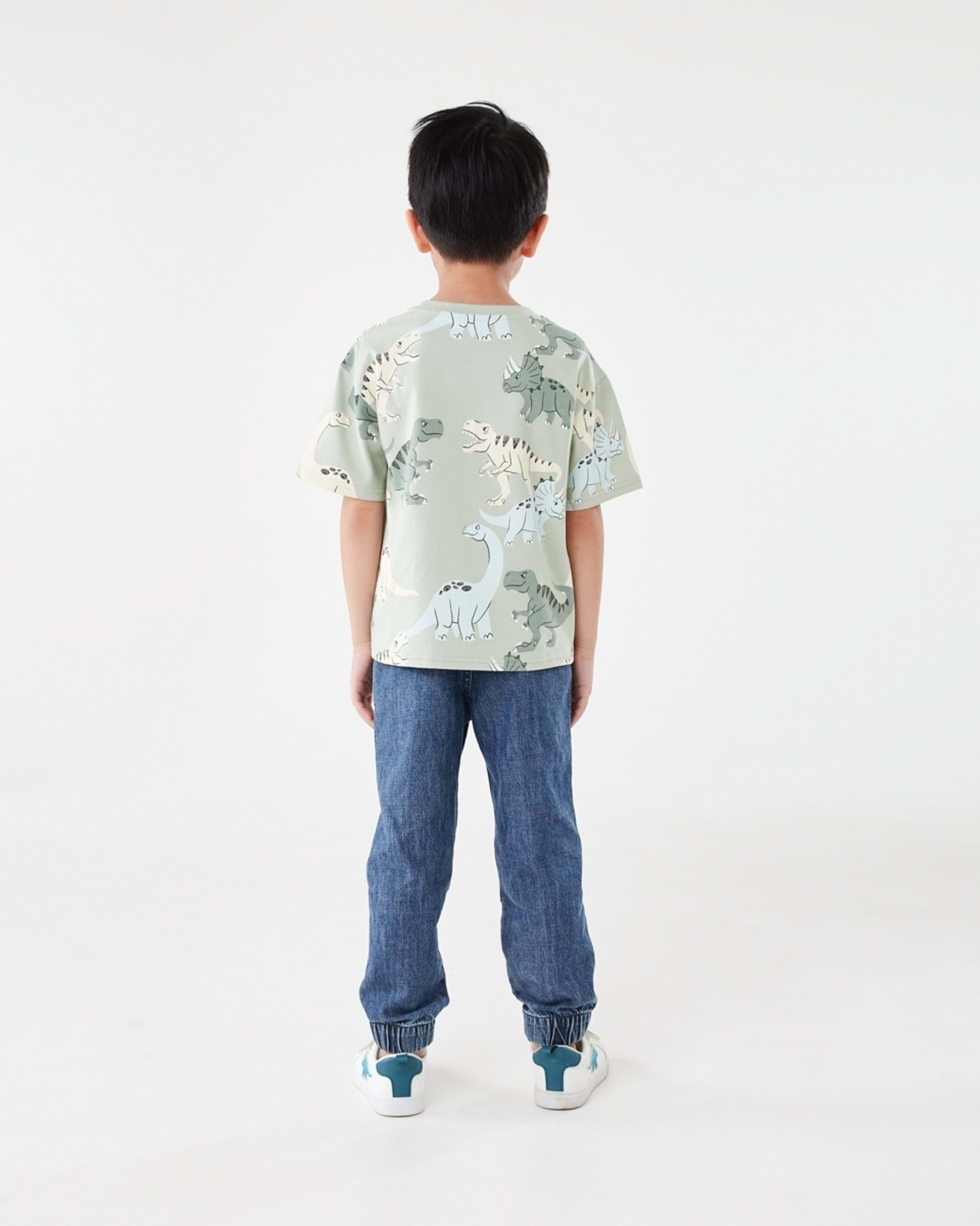 6 All Over Print T-shirt CRANKY DINOS AQUA GREY, 6 of 6
