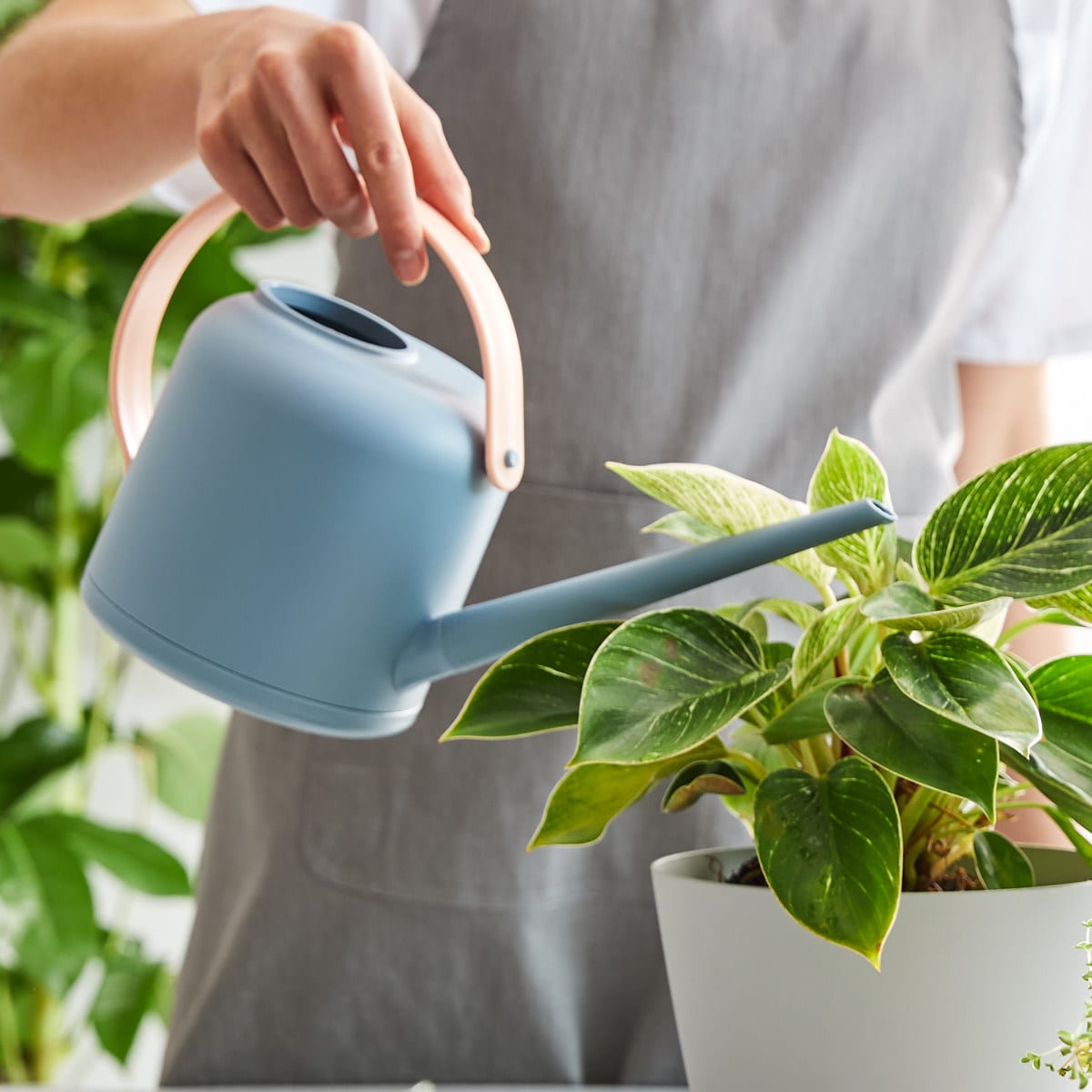 Plastic Watering Can Kmart