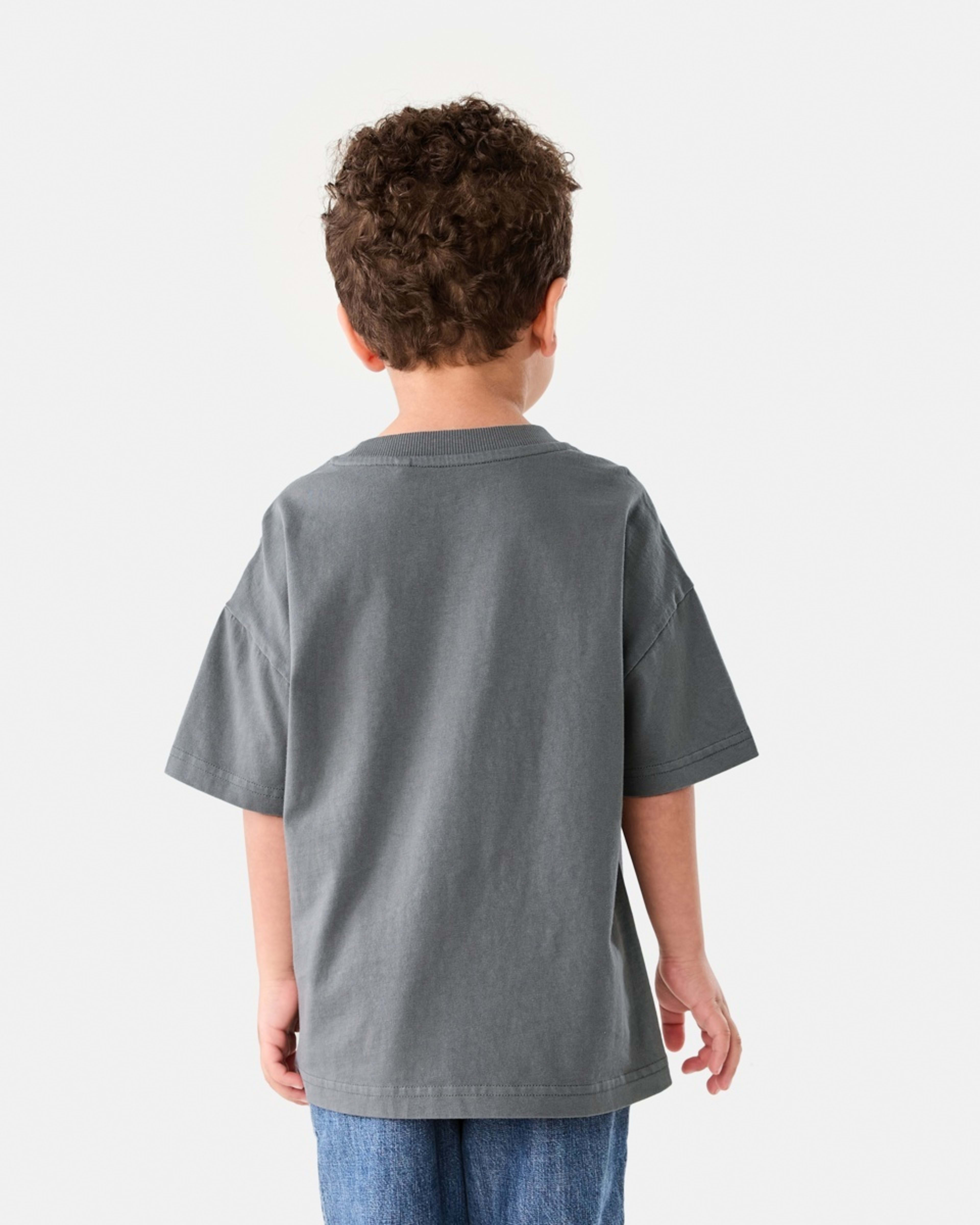 2 Oversized Washed T-shirt WASHED GRAY, 2 of 7