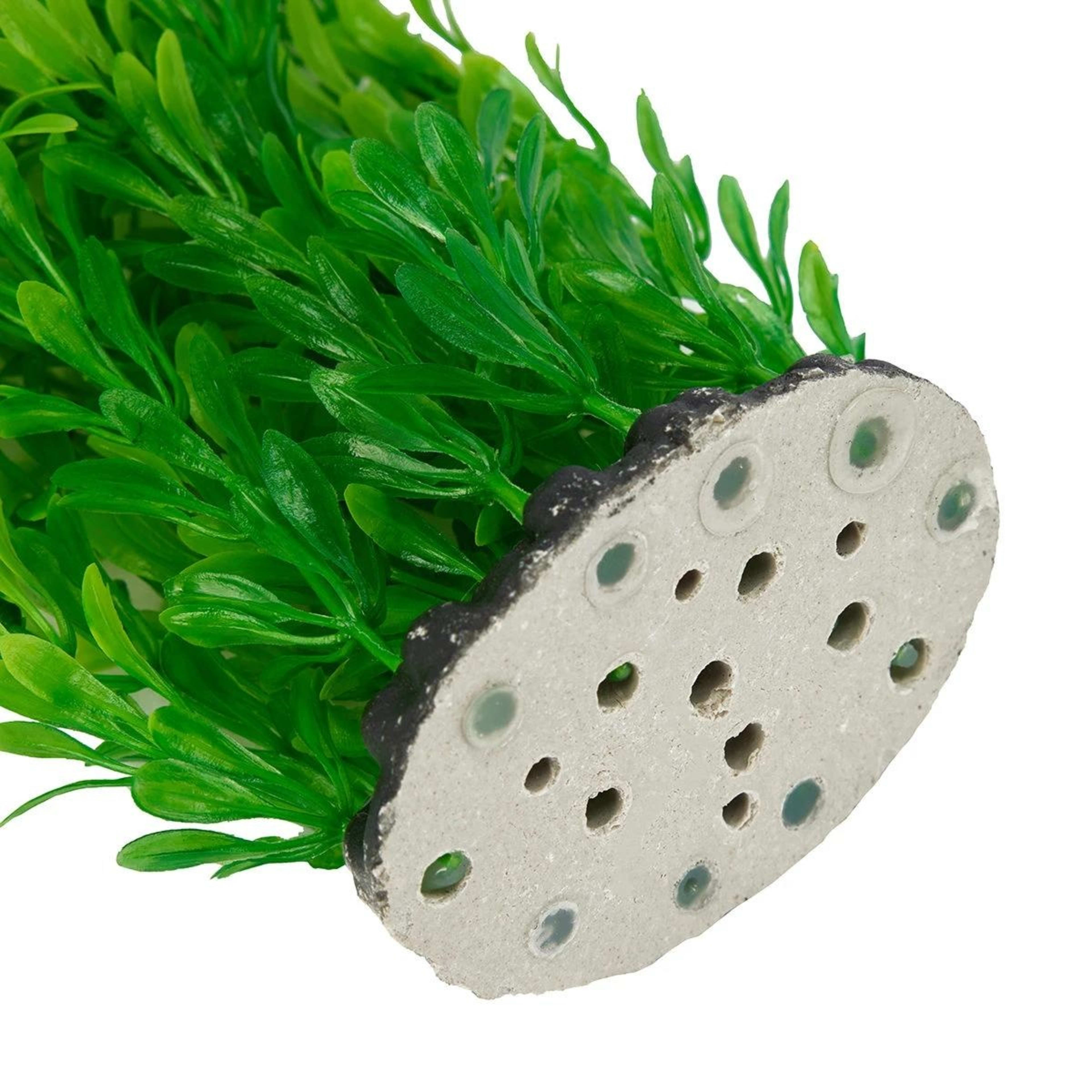 3 2 Pack Aquarium Plants Natural, 3 of 6