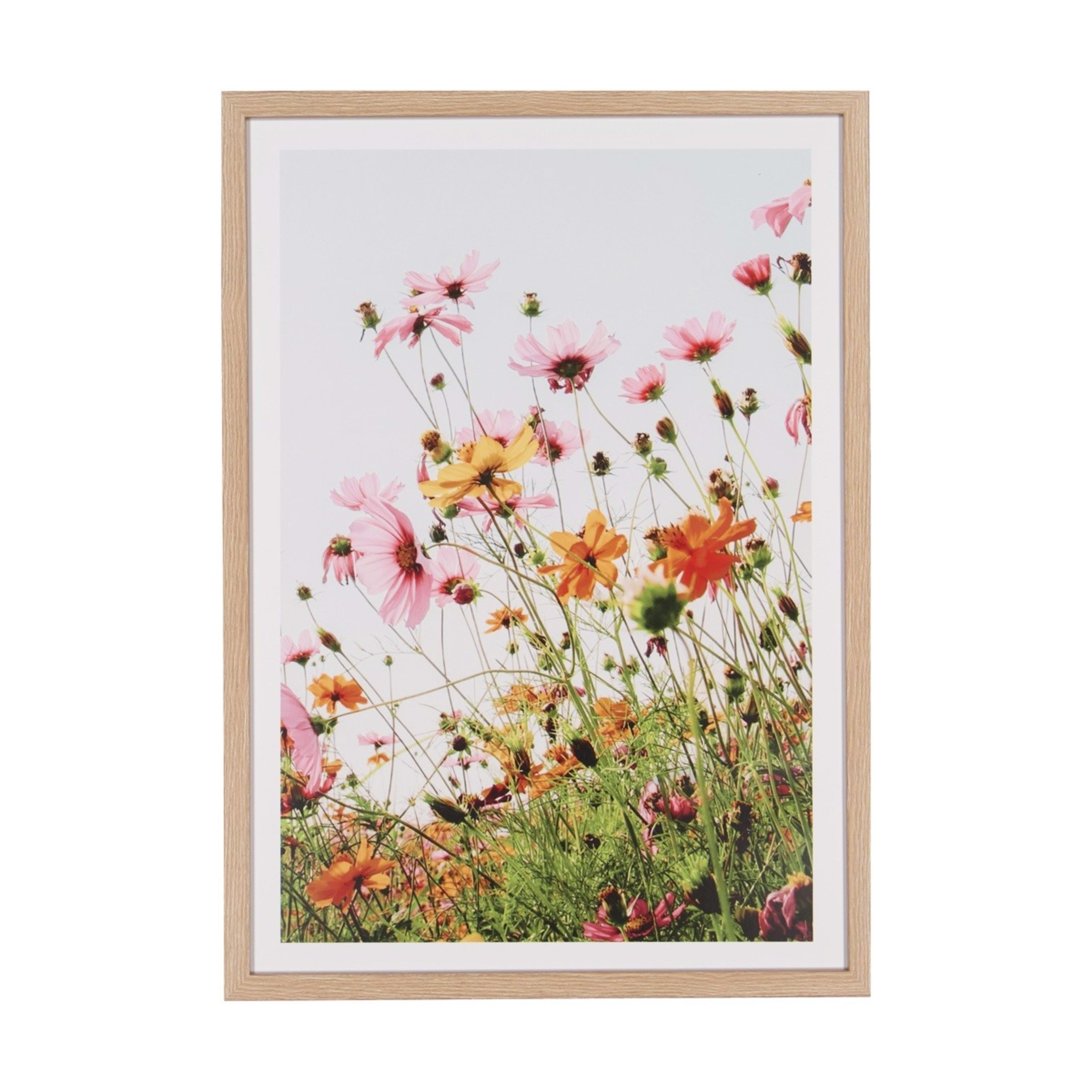 1 Poppies Framed Print, 1 of 5