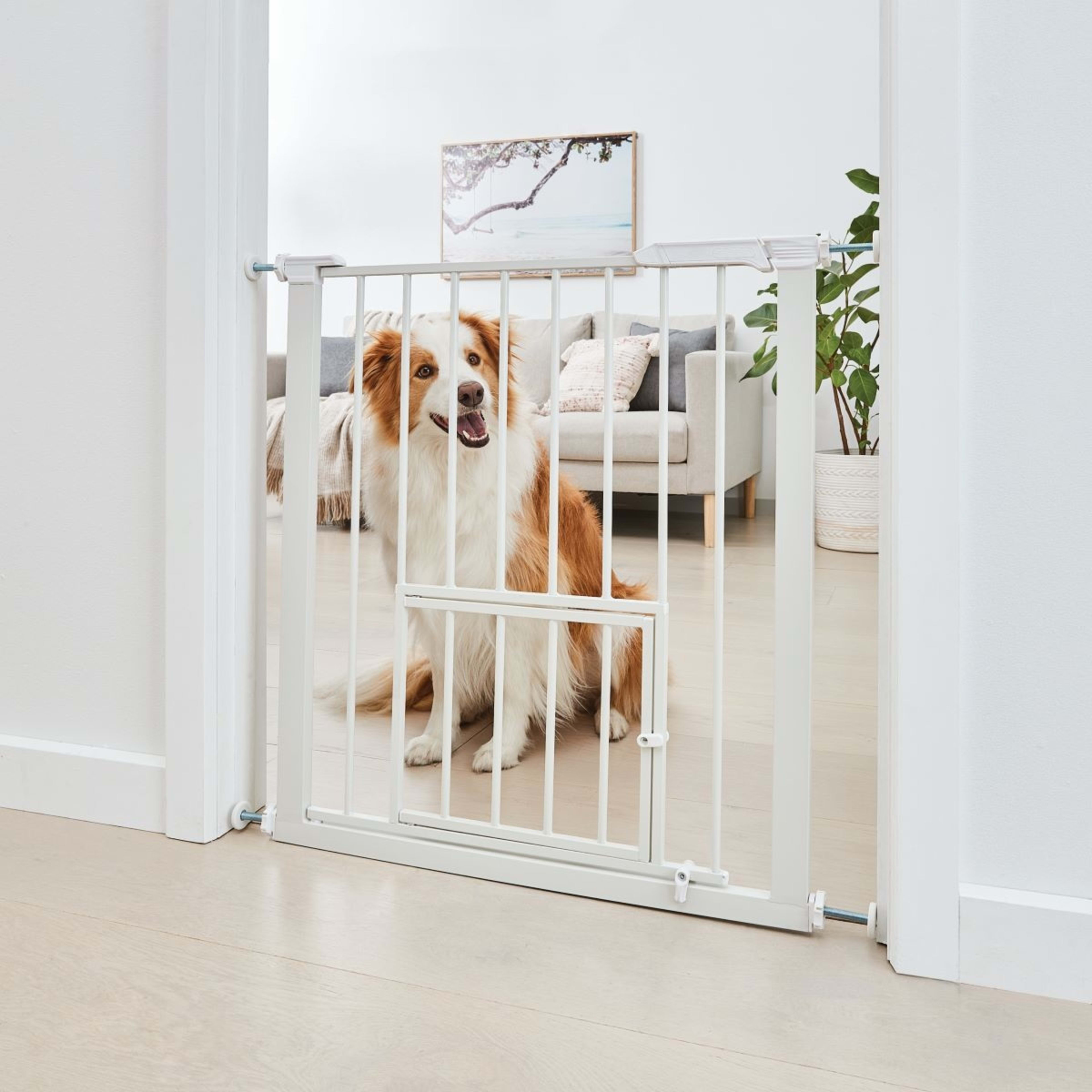 1 Pet Gate with Extension
