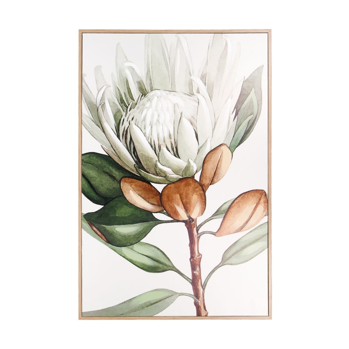 Protea Floral Framed Canvas Kmart